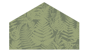 Foliage: Growth, Life, Safety