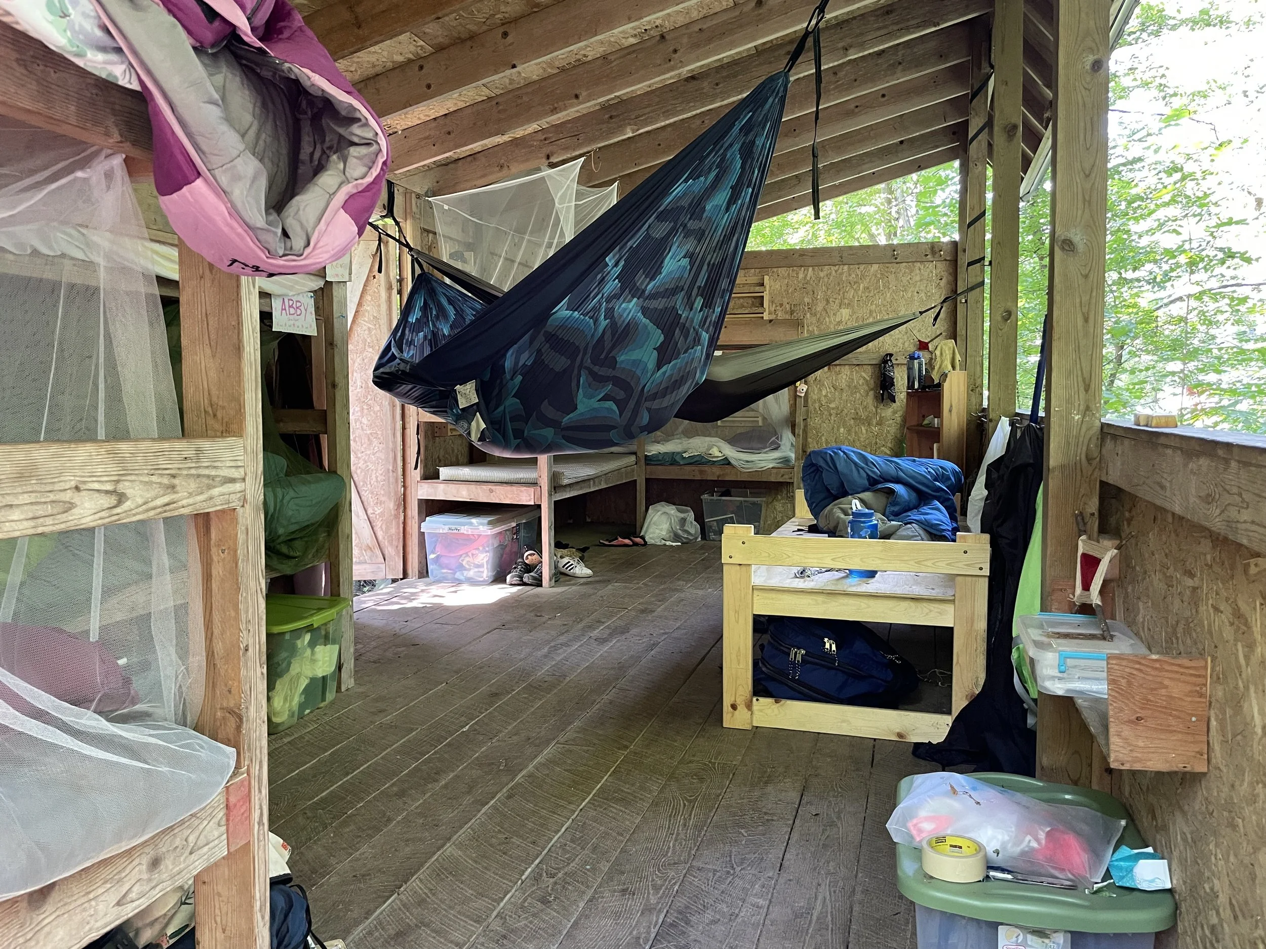 IMG_9097 jill tikkun.jpeg