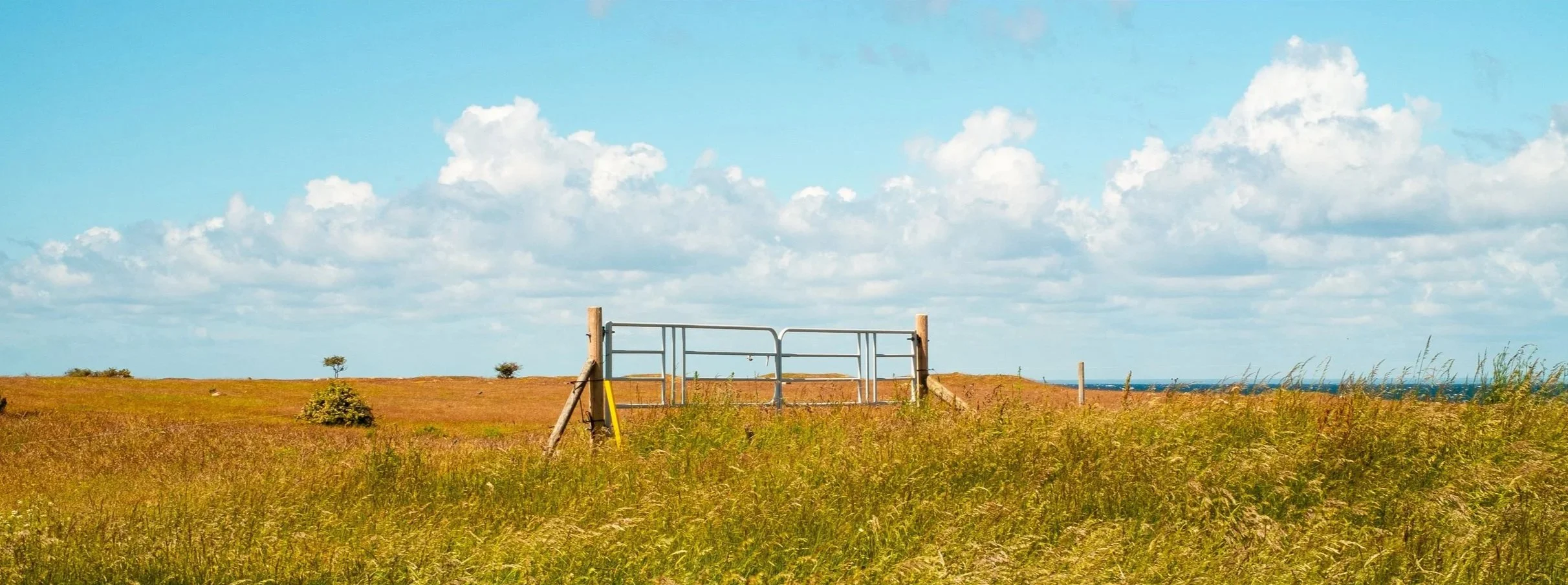 Cattle gate in a field of grass during the summer, with a light blue sky and puffy white clouds