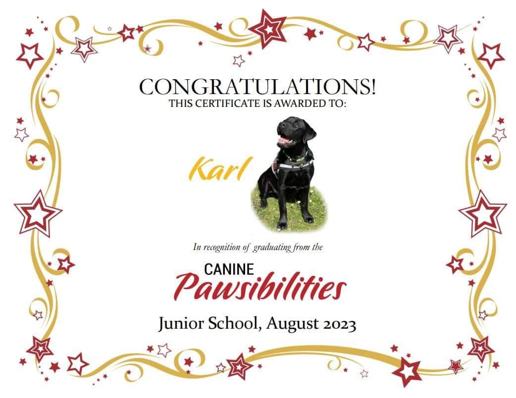 Huge congratulations to Karl . Such a clever boy. X
