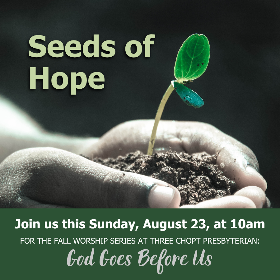 Seeds of Hope
