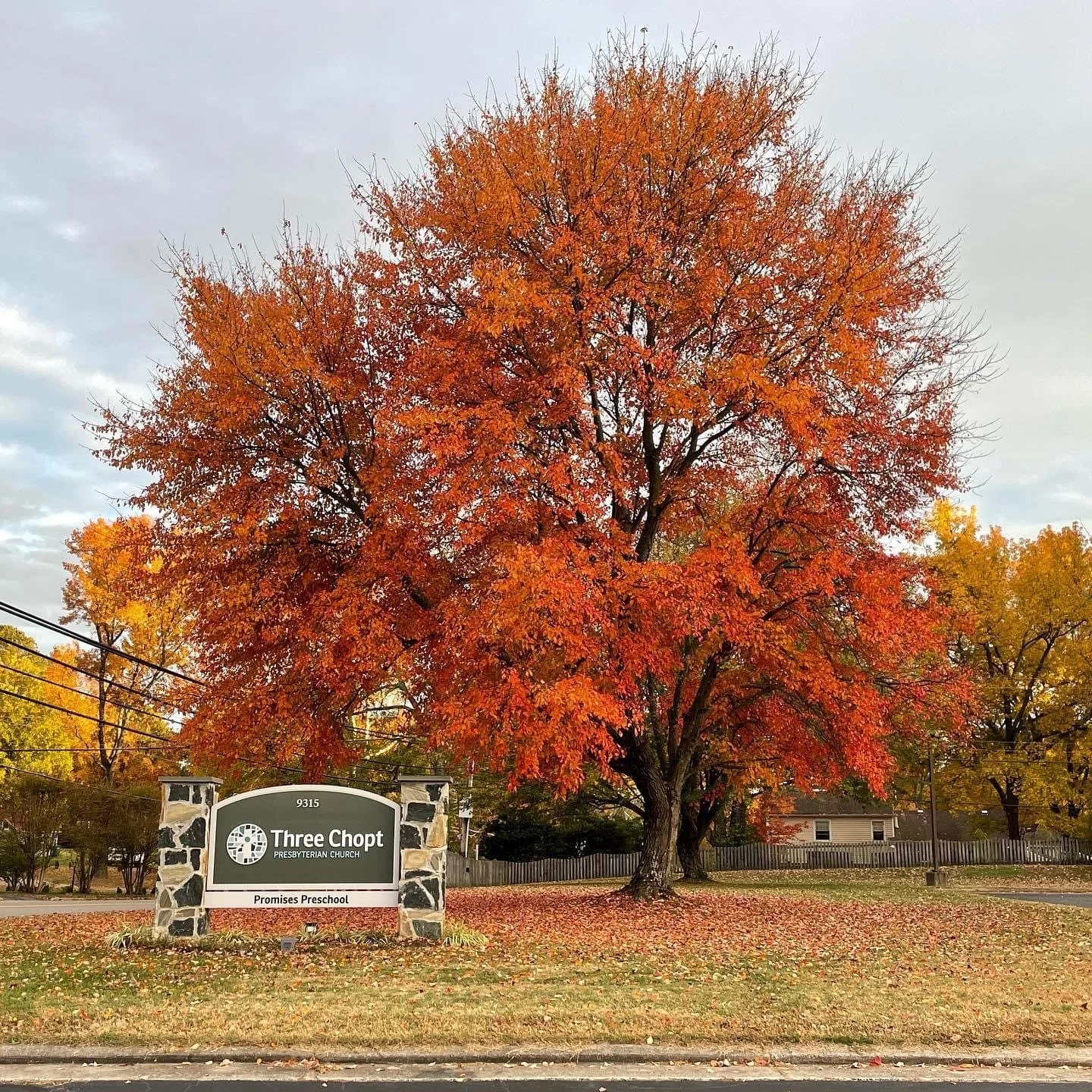 Fall Tree at Three Chopt Presbyterian Church