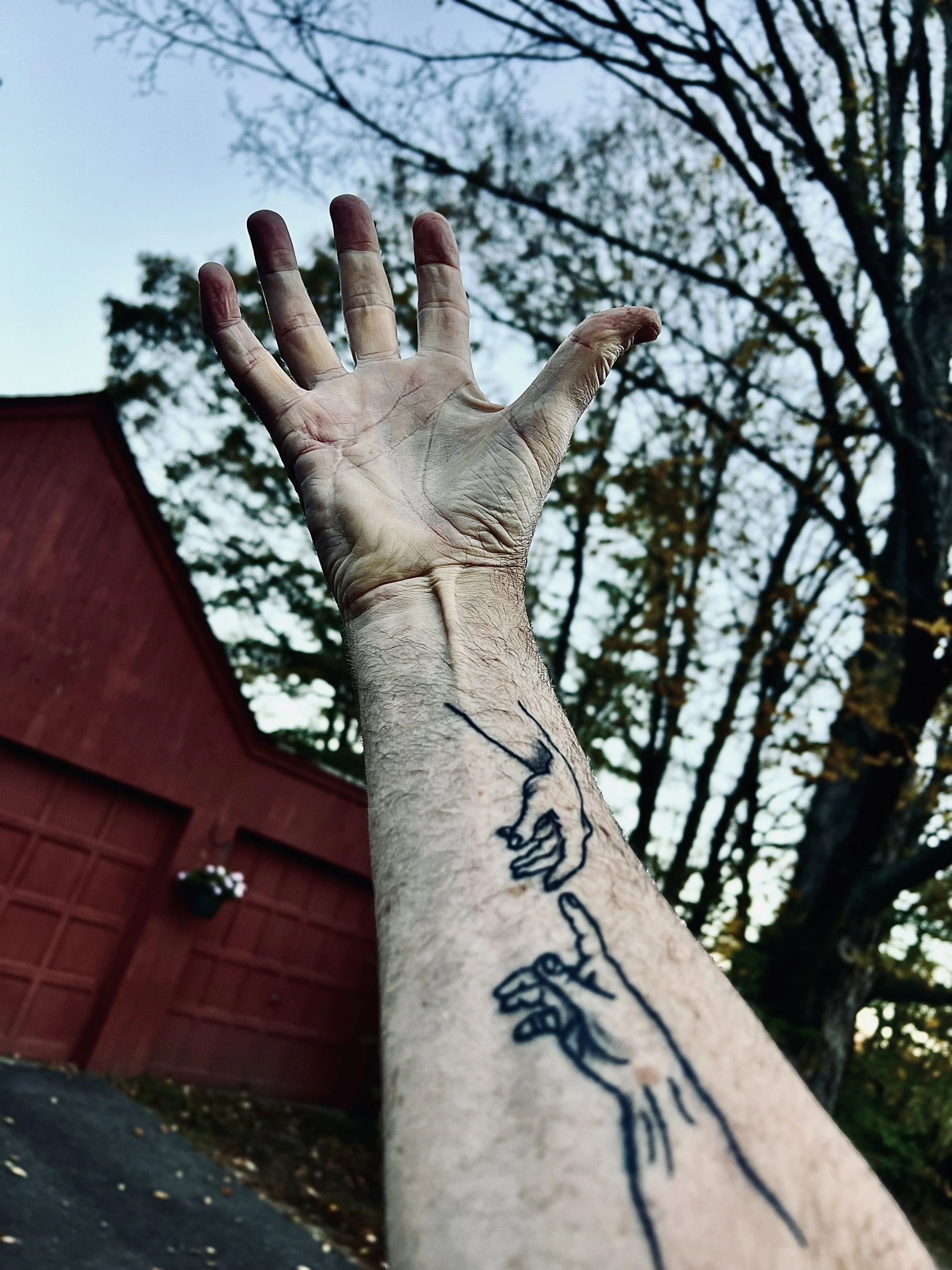 One of the images from the photoshoot (Copy)