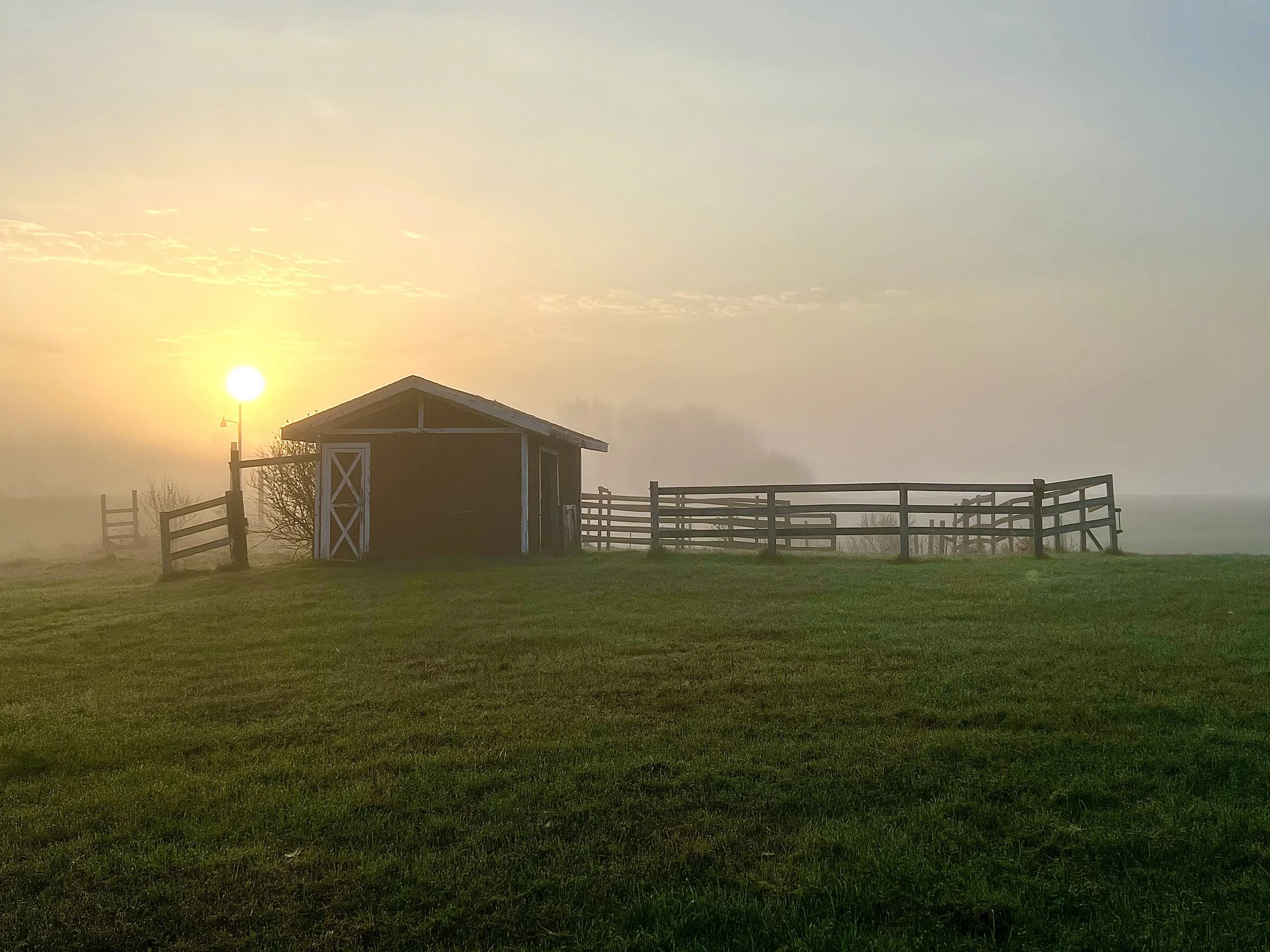 Sunrise over a green field with a small red barn and wooden fence, foggy atmosphere.