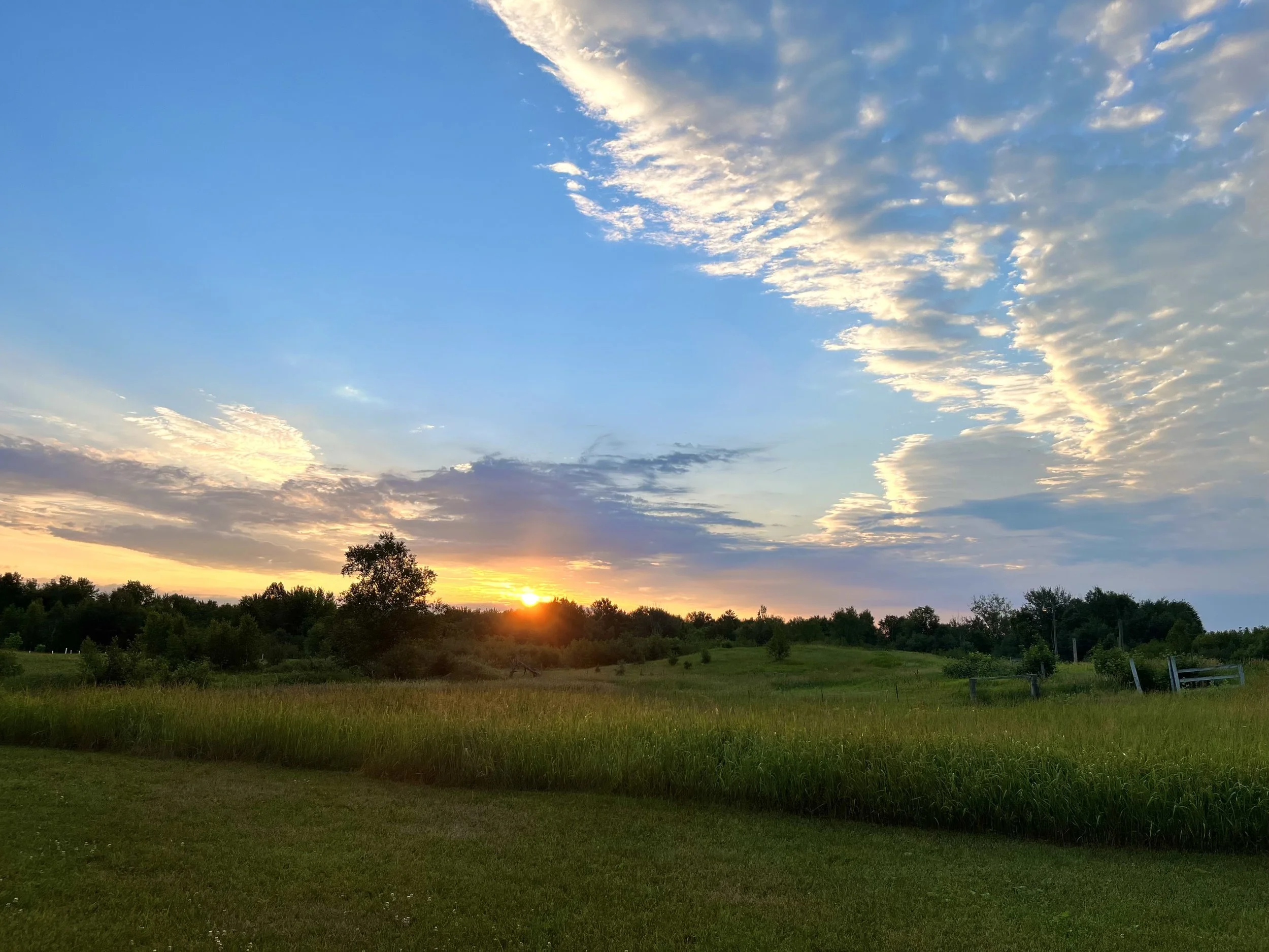 Sunset over a grassy field with trees and a partly cloudy sky.
