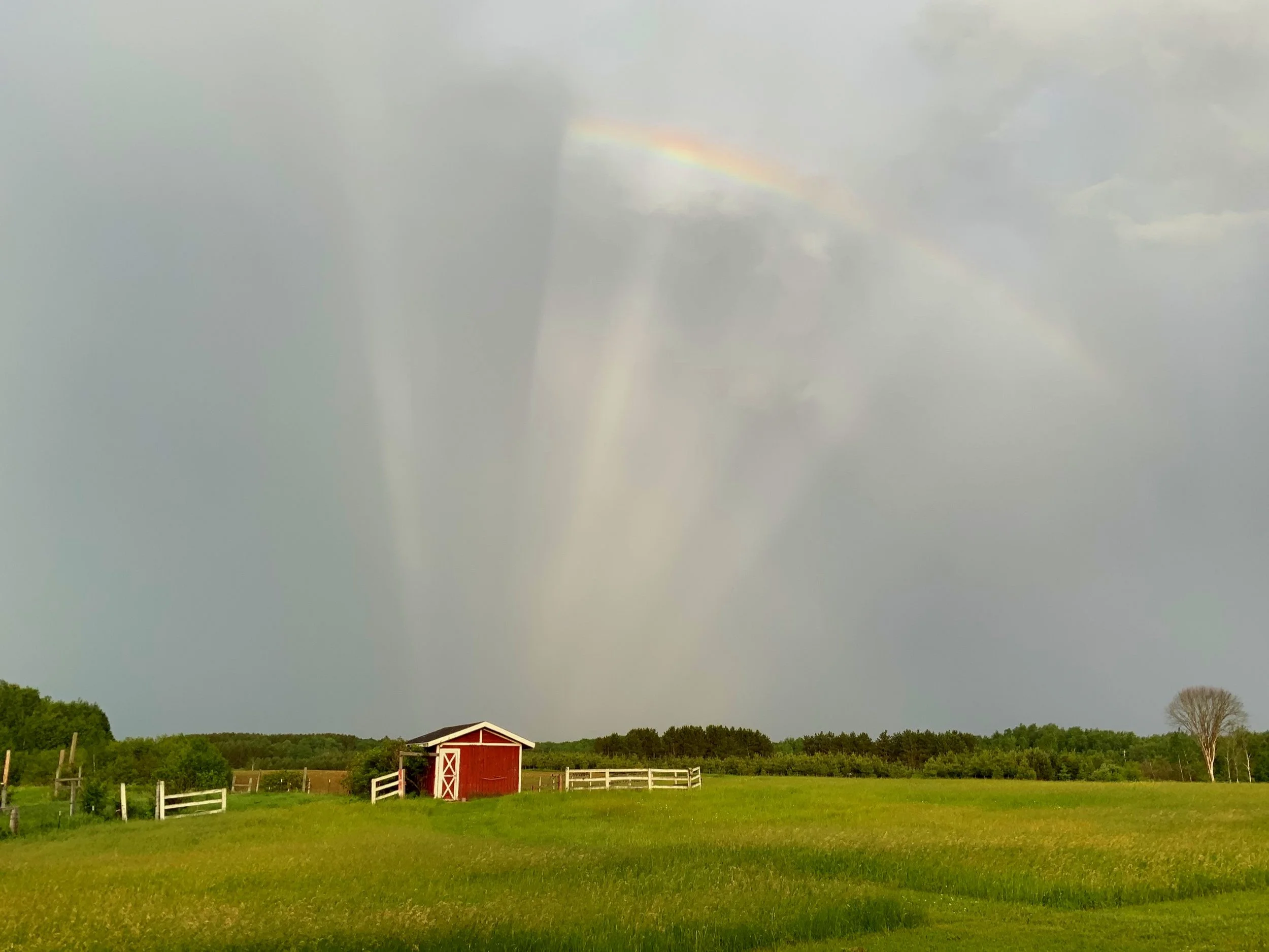 A rural landscape with a small red barn and white fences, green grass, and a rainbow in a cloudy sky.