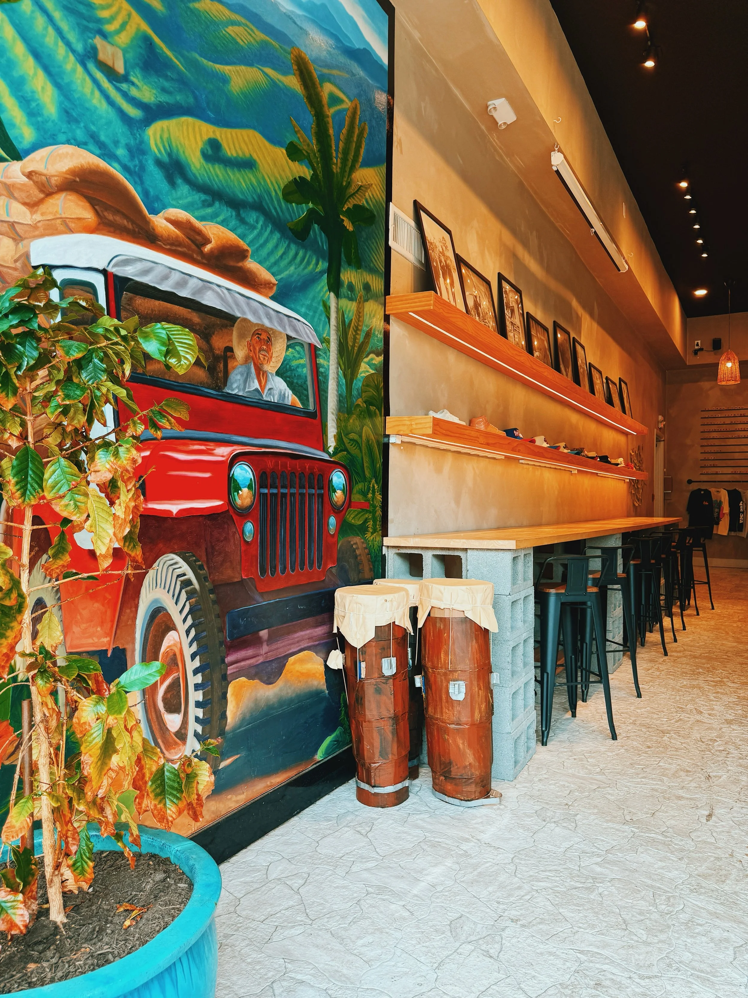 golden hour at its finest ✨

#njfoodie #cafe #cafecito #goldenhour #njspots