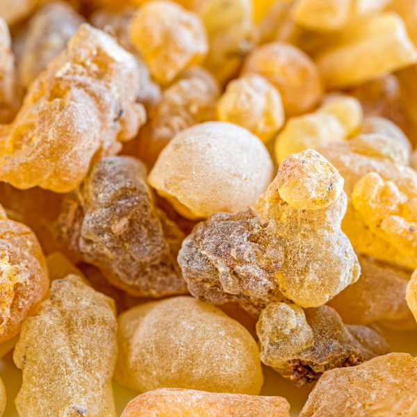 Frankincense (2).png