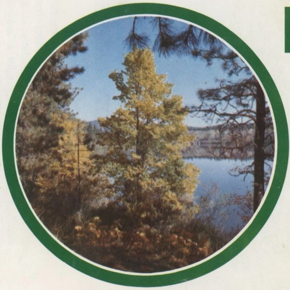Expo ‘74 No Logo Brochure