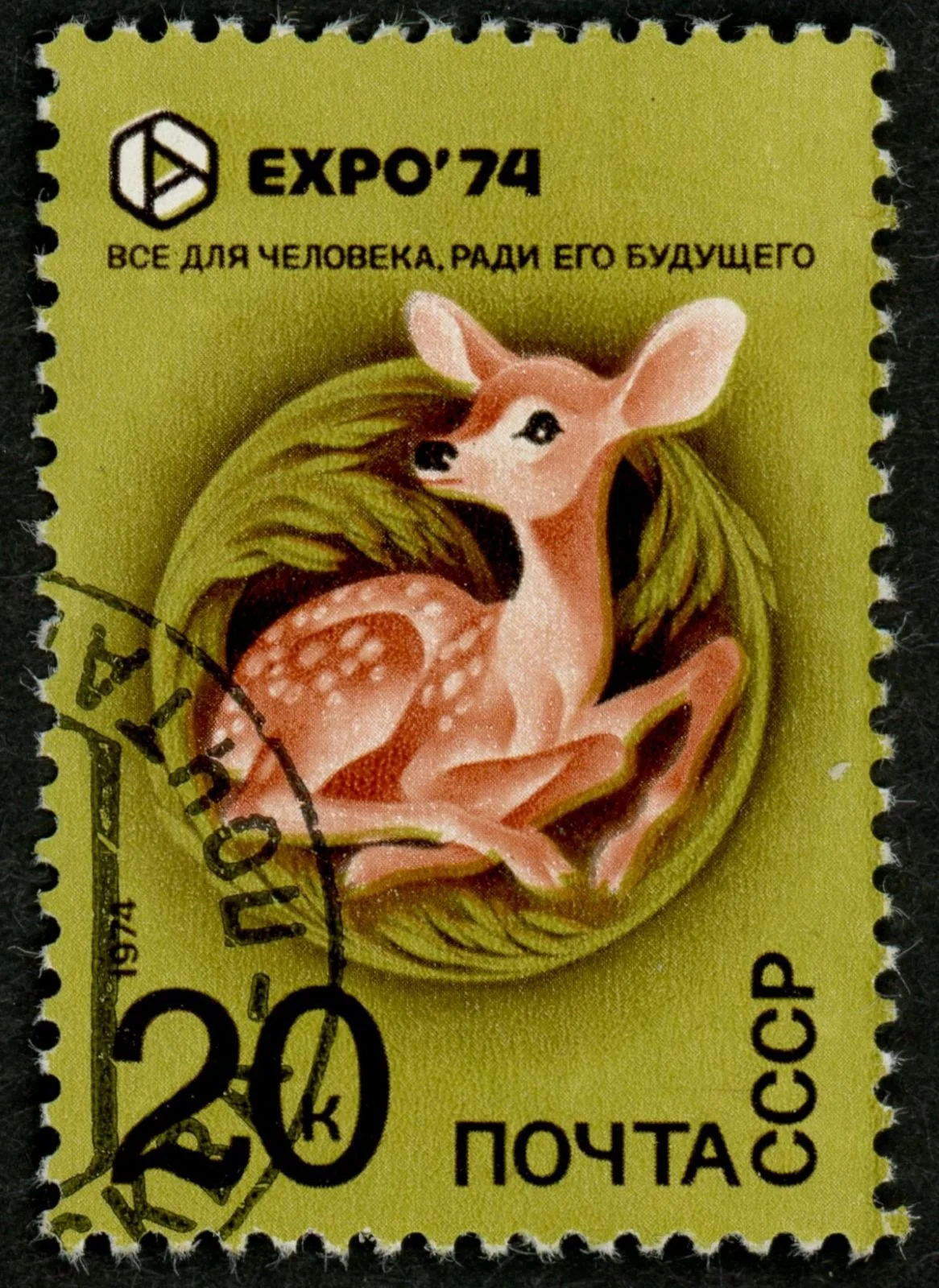 cccp 20 for web.jpg