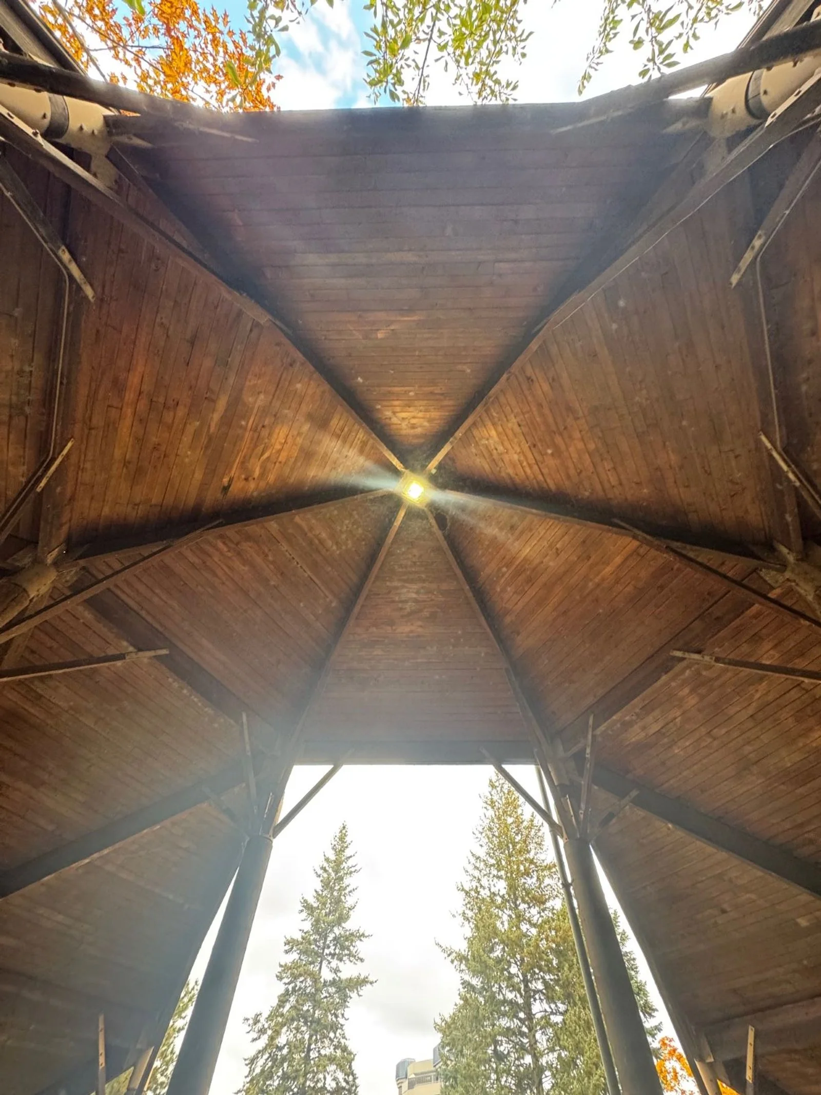 interior 001.jpg