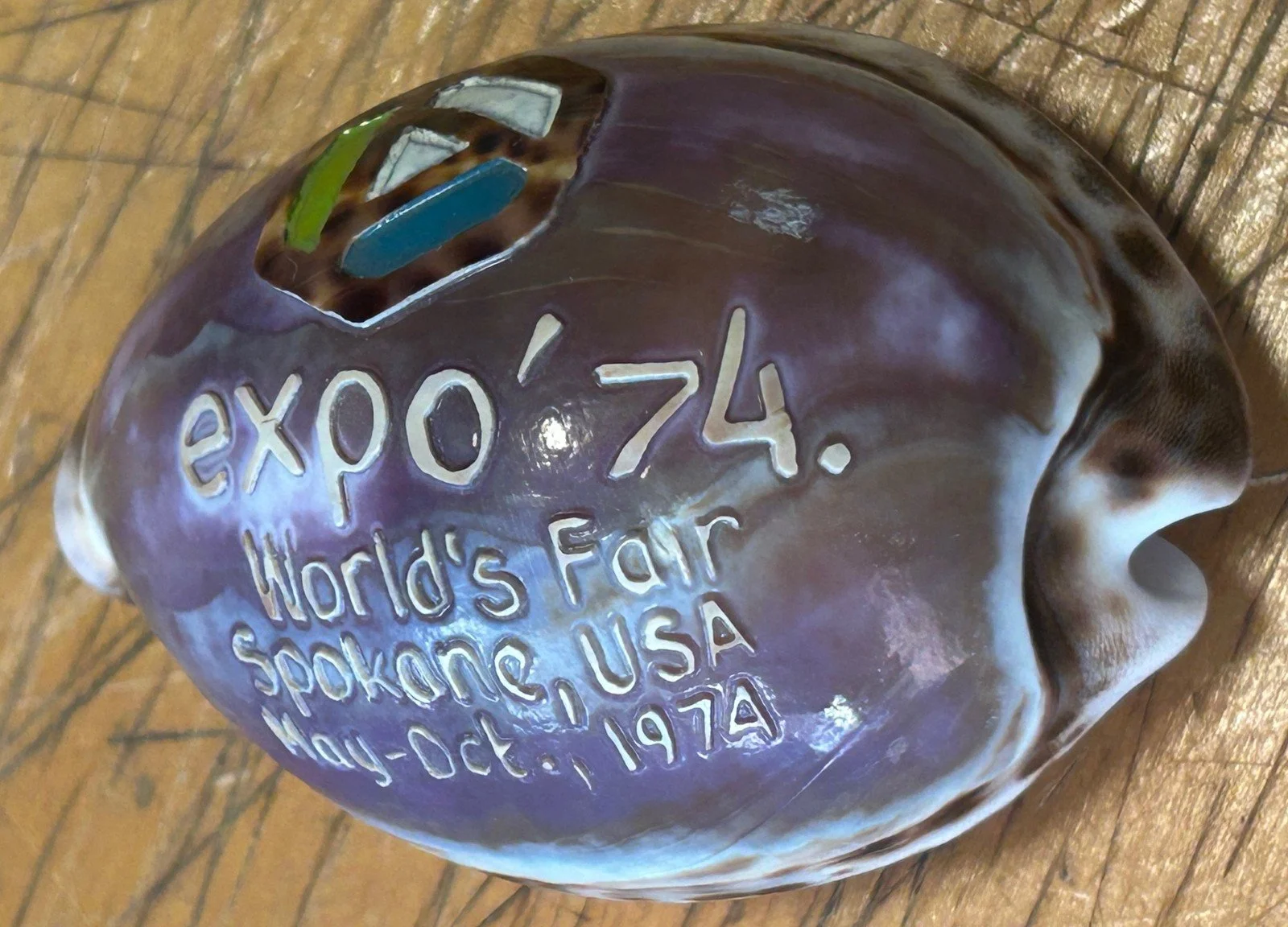 expo shell 001.jpg