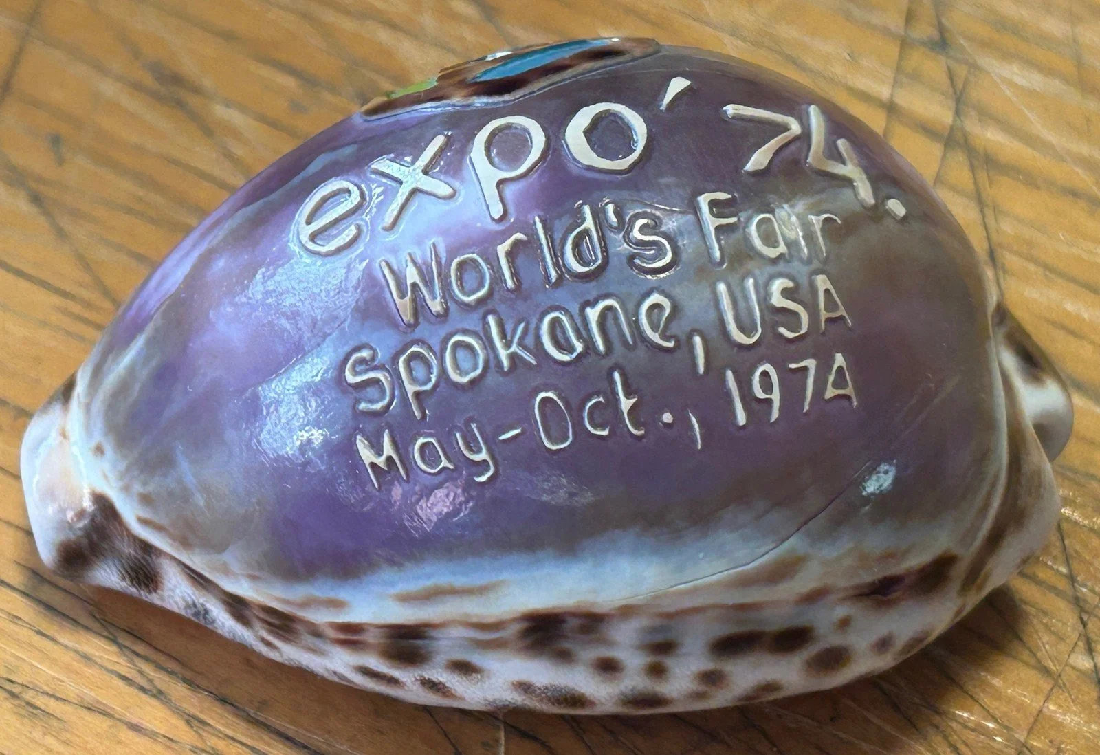 expo shell 003.jpg
