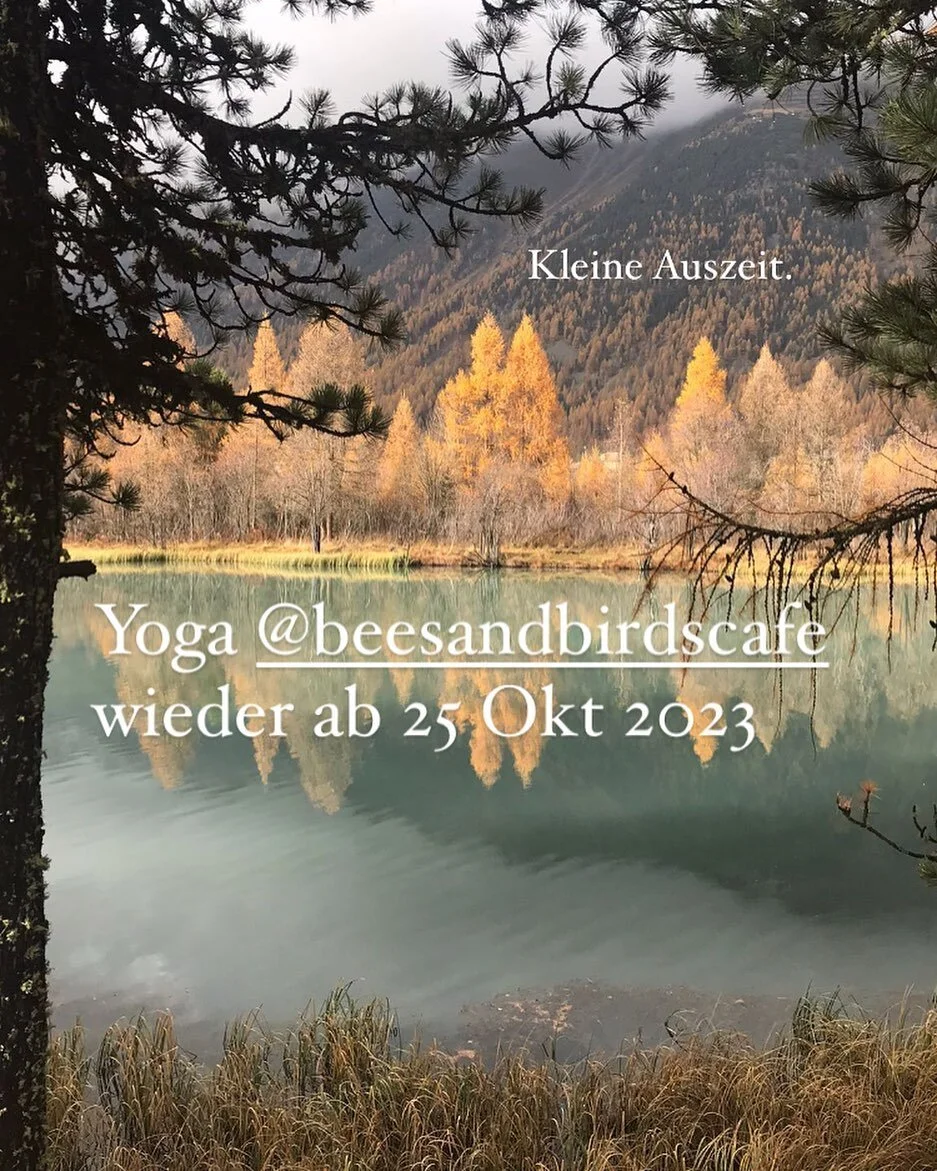 Kleine Herbst Auszeit. Wie verbringt ihr den goldenen Herbst? 🍂🍁🍂

Yoga im @beesandbirdscafe gibt es wieder wie gewohnt ab 25 Okt 2023 mittwochs von 19 bis 20 Uhr. ✨

Da die Platzzahl beschr&auml;nkt ist bitte nur auf Voranmeldung via Website. Dan