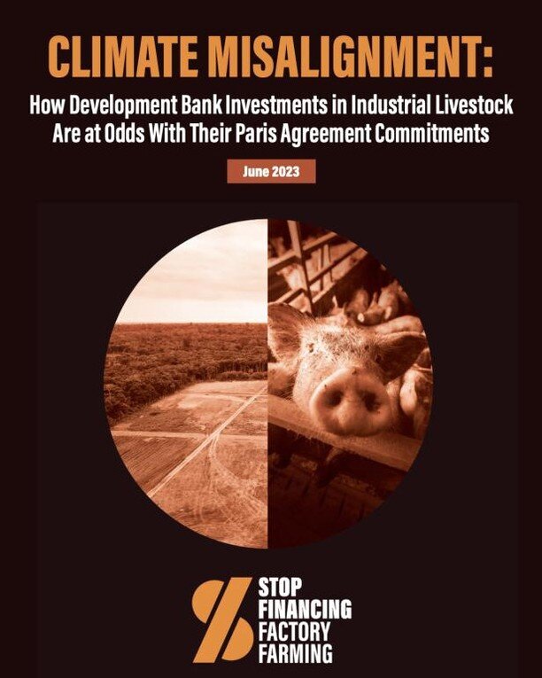We join our friends at Stop Financing Factory Farming to say: Walk the Talk and Divest from industrial animal agriculture!!

They recently shared a new report: Climate Misalignment&mdash;How Development Bank Investments in Industrial Livestock Are at