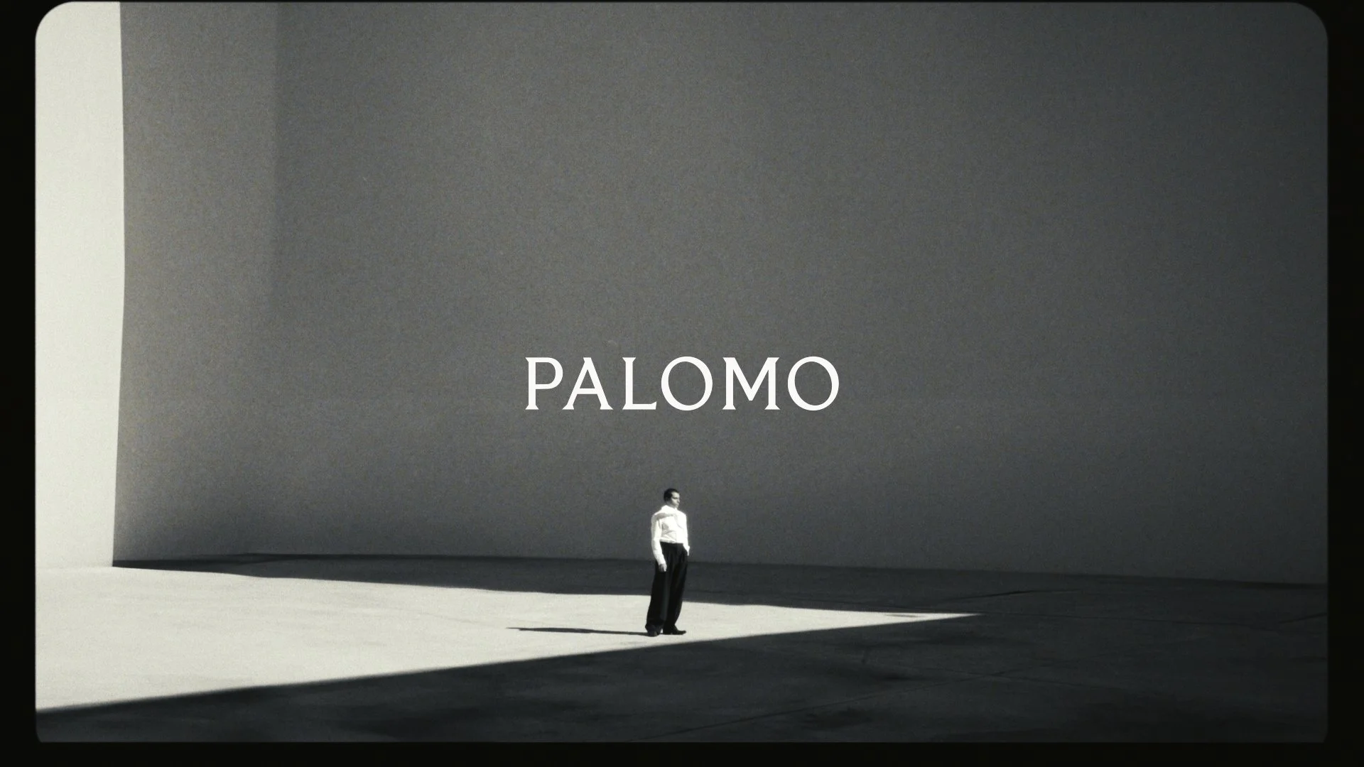 PALOMO SPAIN - LIGHT FALL