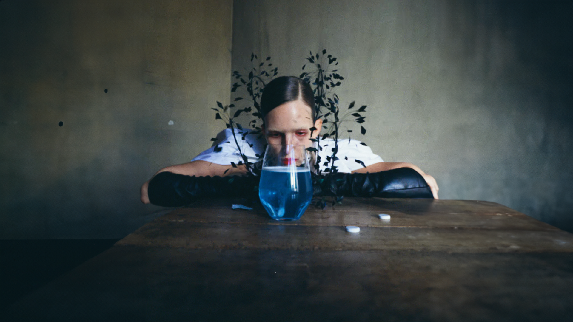 PALOMO SPAIN - HOLIDAY RESORT 2026