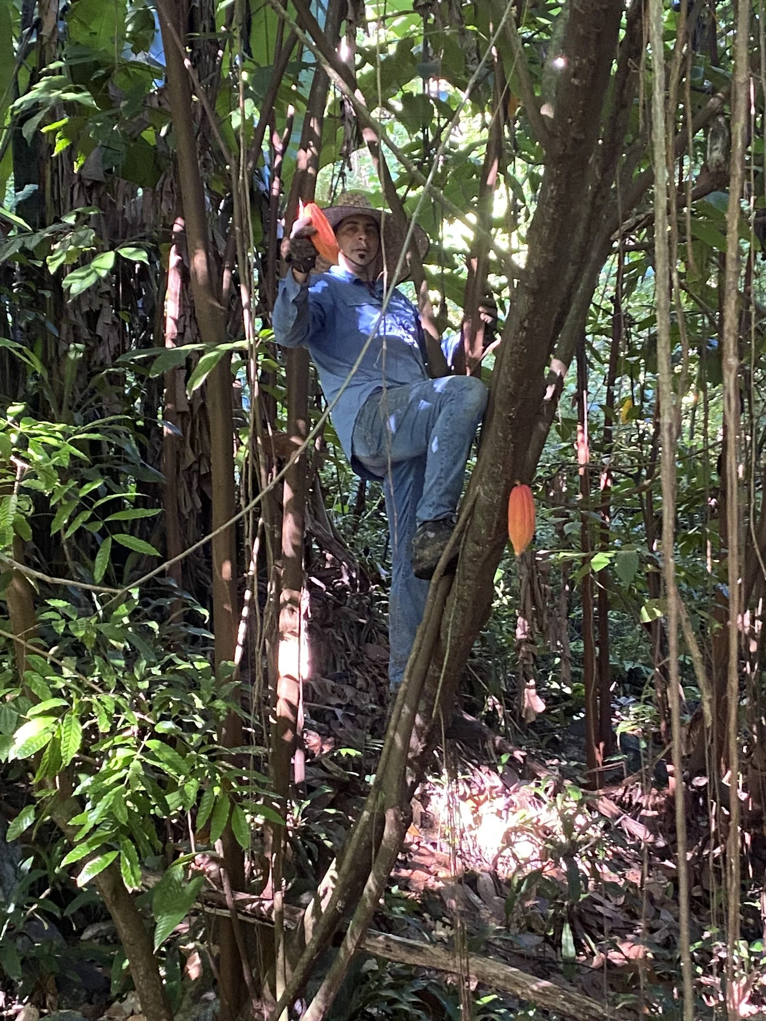 Farm & Land Sales — CBX