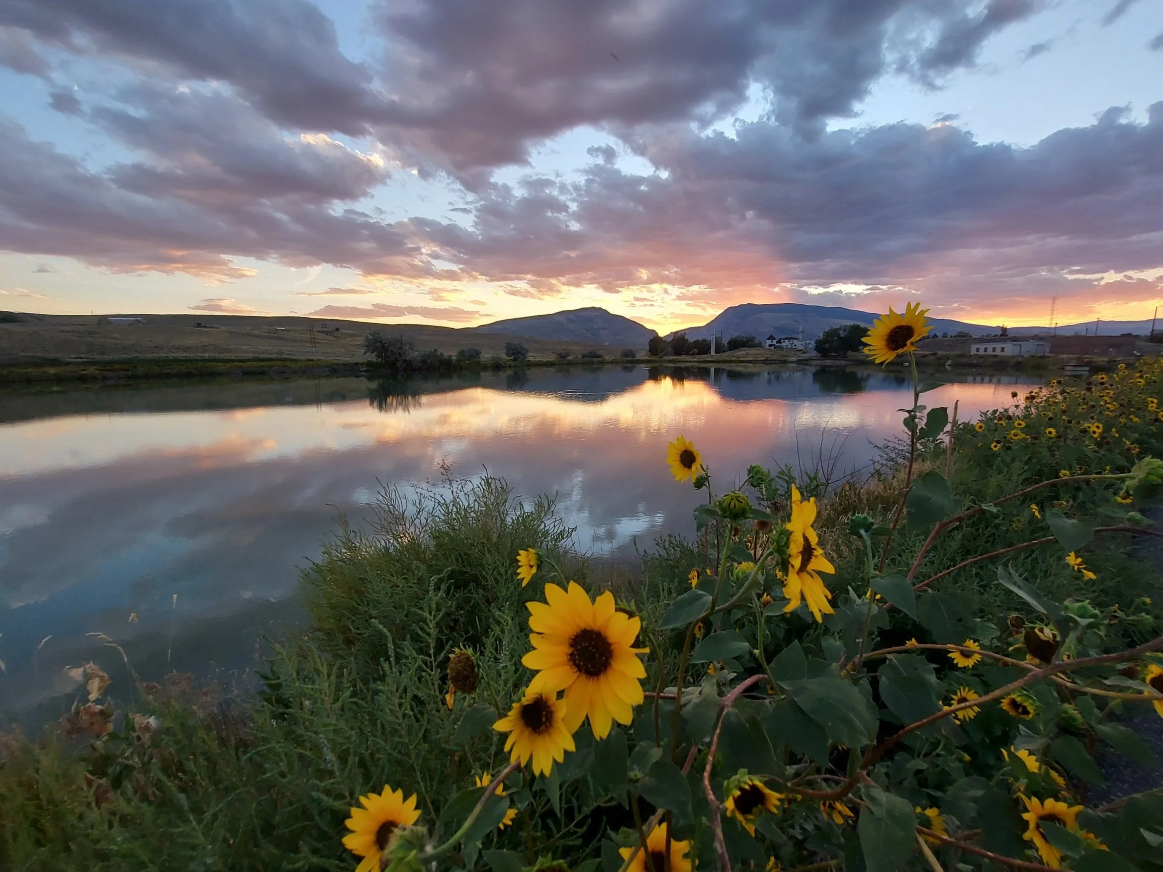 Bookkeeping/Payroll Tax Accountant in Wyoming — SBW & Associates