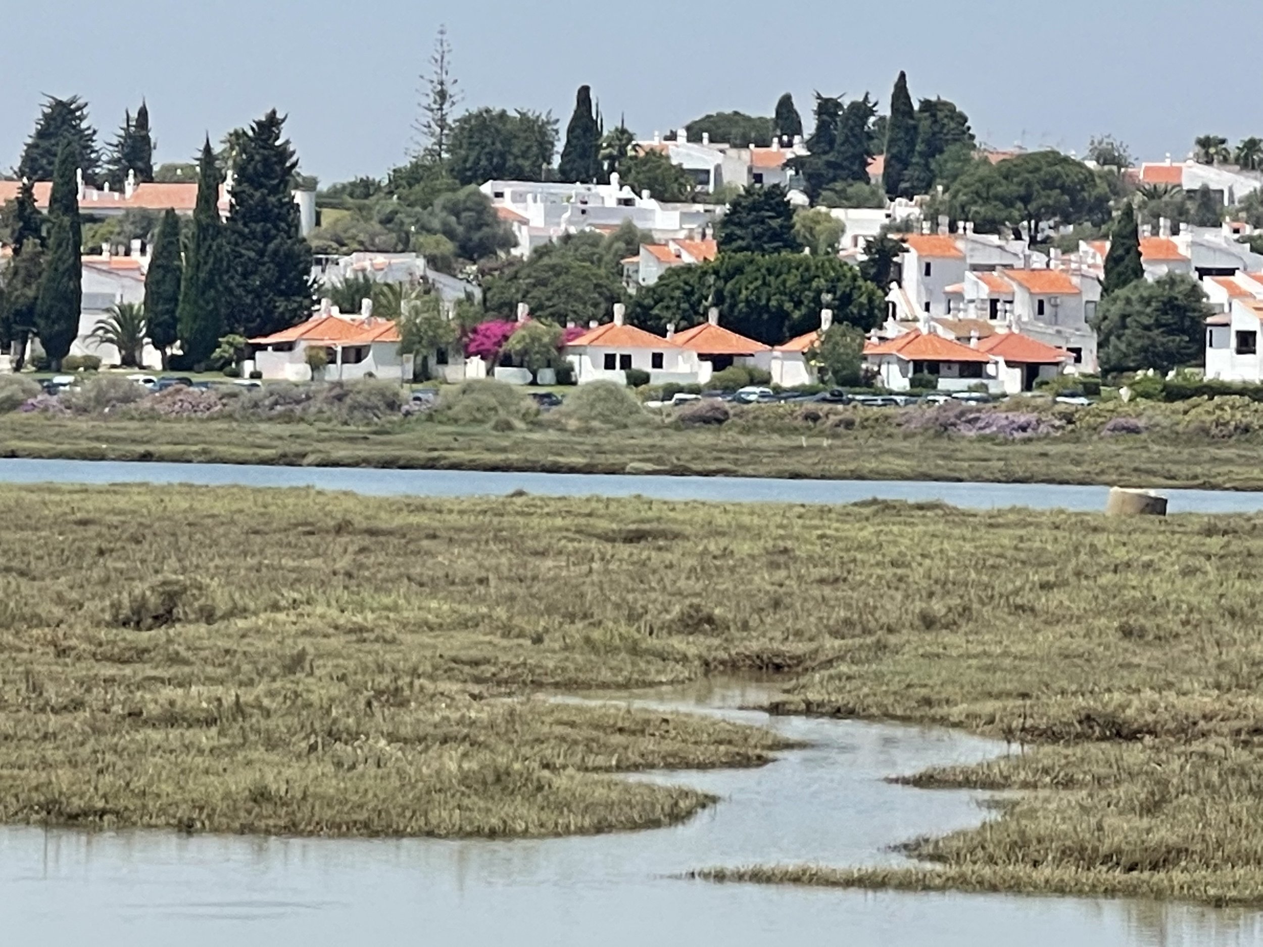 History of Pedras d’el Rei