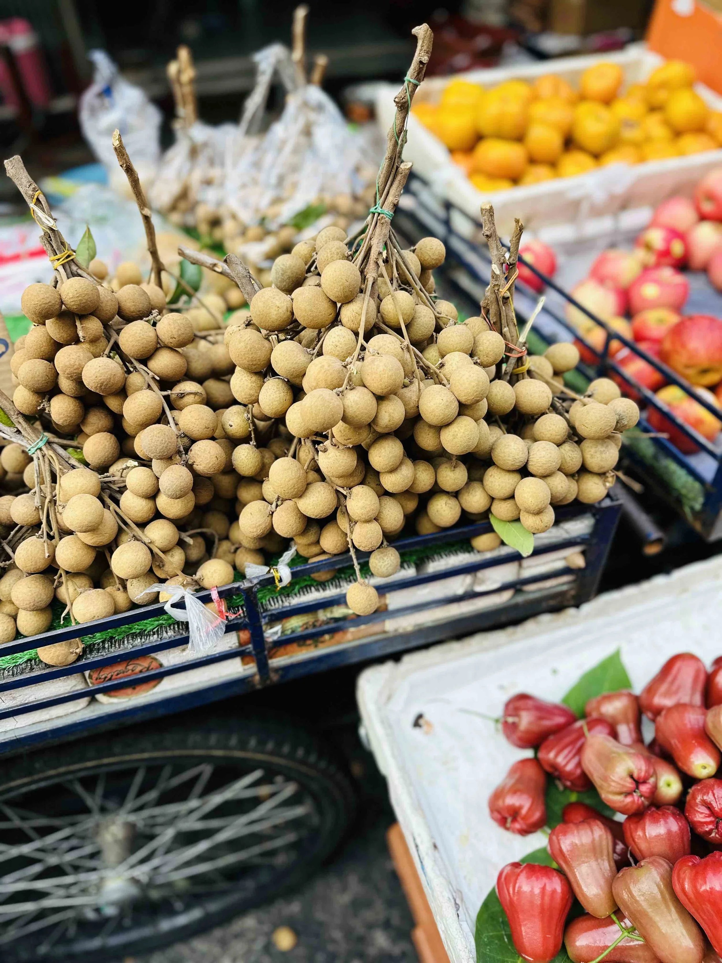 Longan Fruit