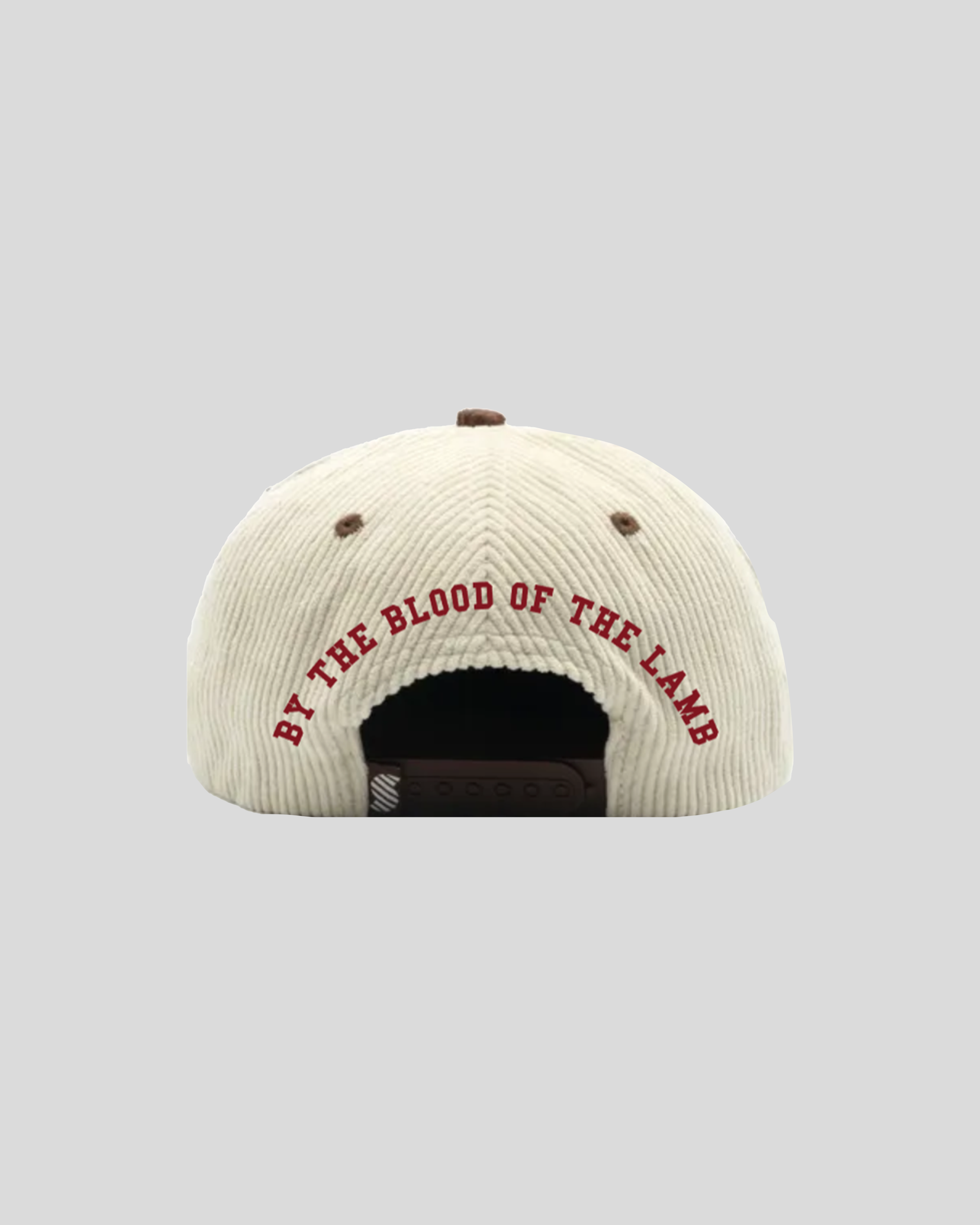 cap2.png