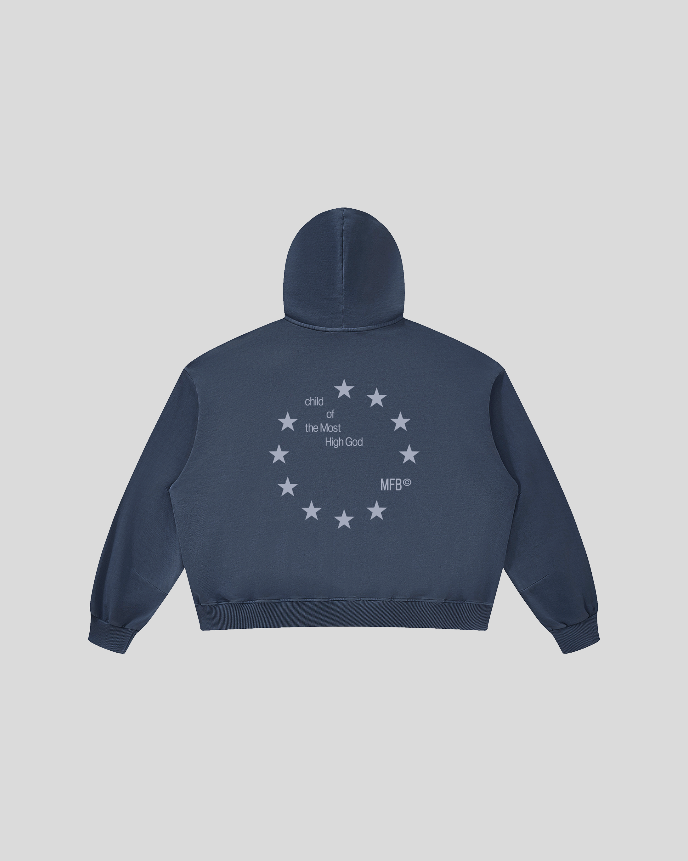 Nepo Baby, Child of God, Christian Hoodie from My Father's Business