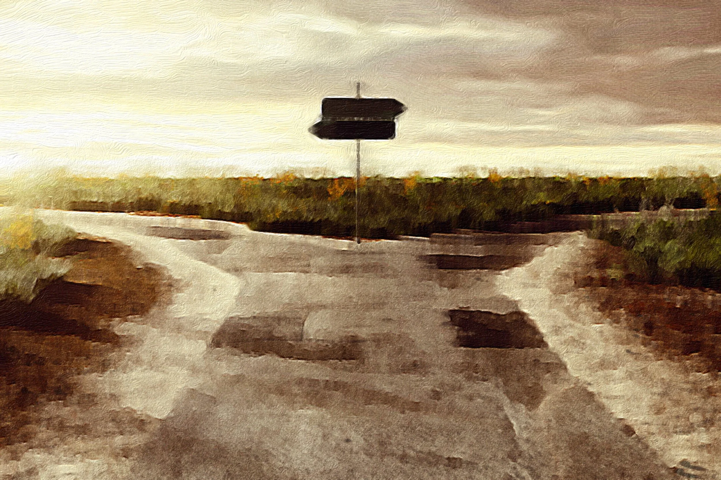 leading at the crossroads of collapse and conscience