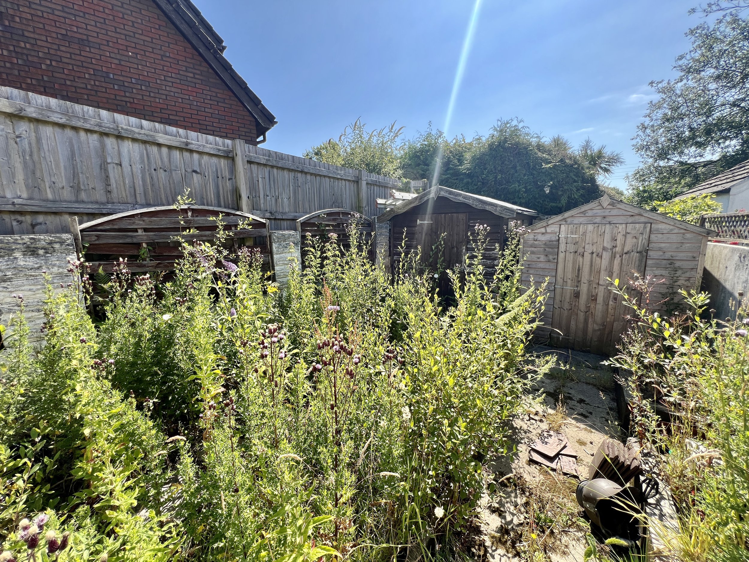 IMG_0014.jpeg