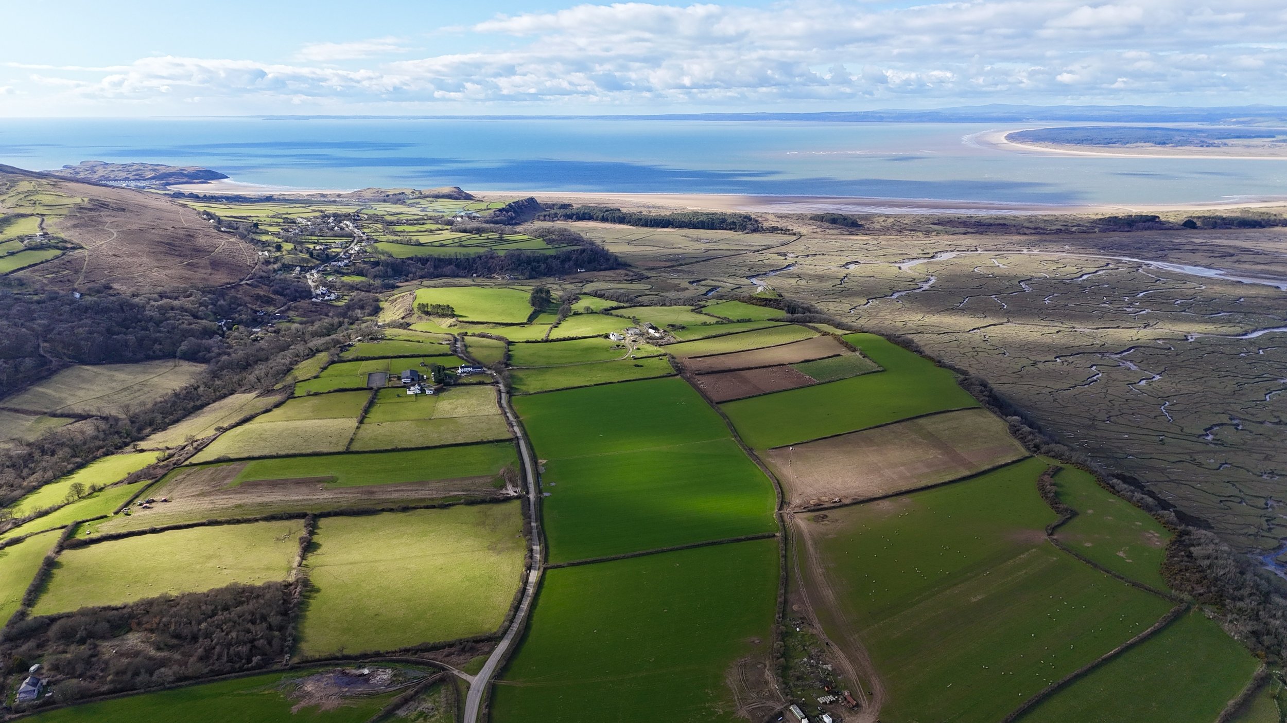 dji_fly_20250312_145356_0326_1741793709404_photo.jpeg