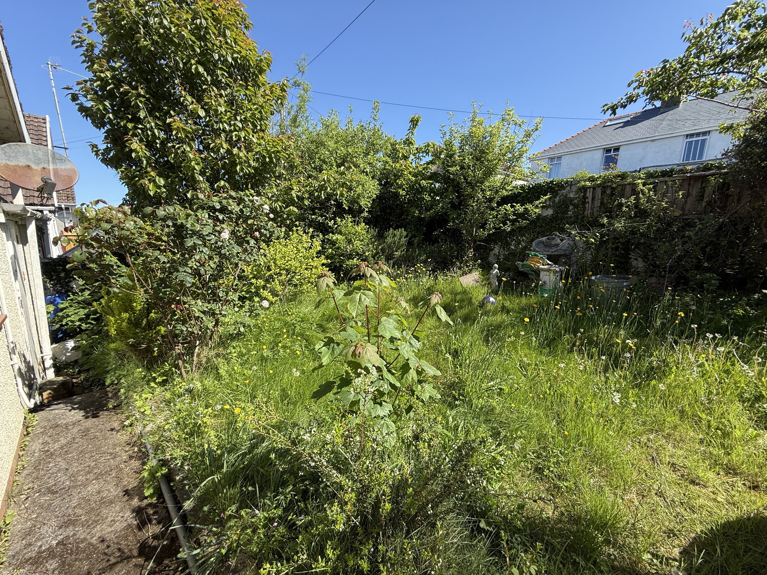 IMG_2010.jpeg