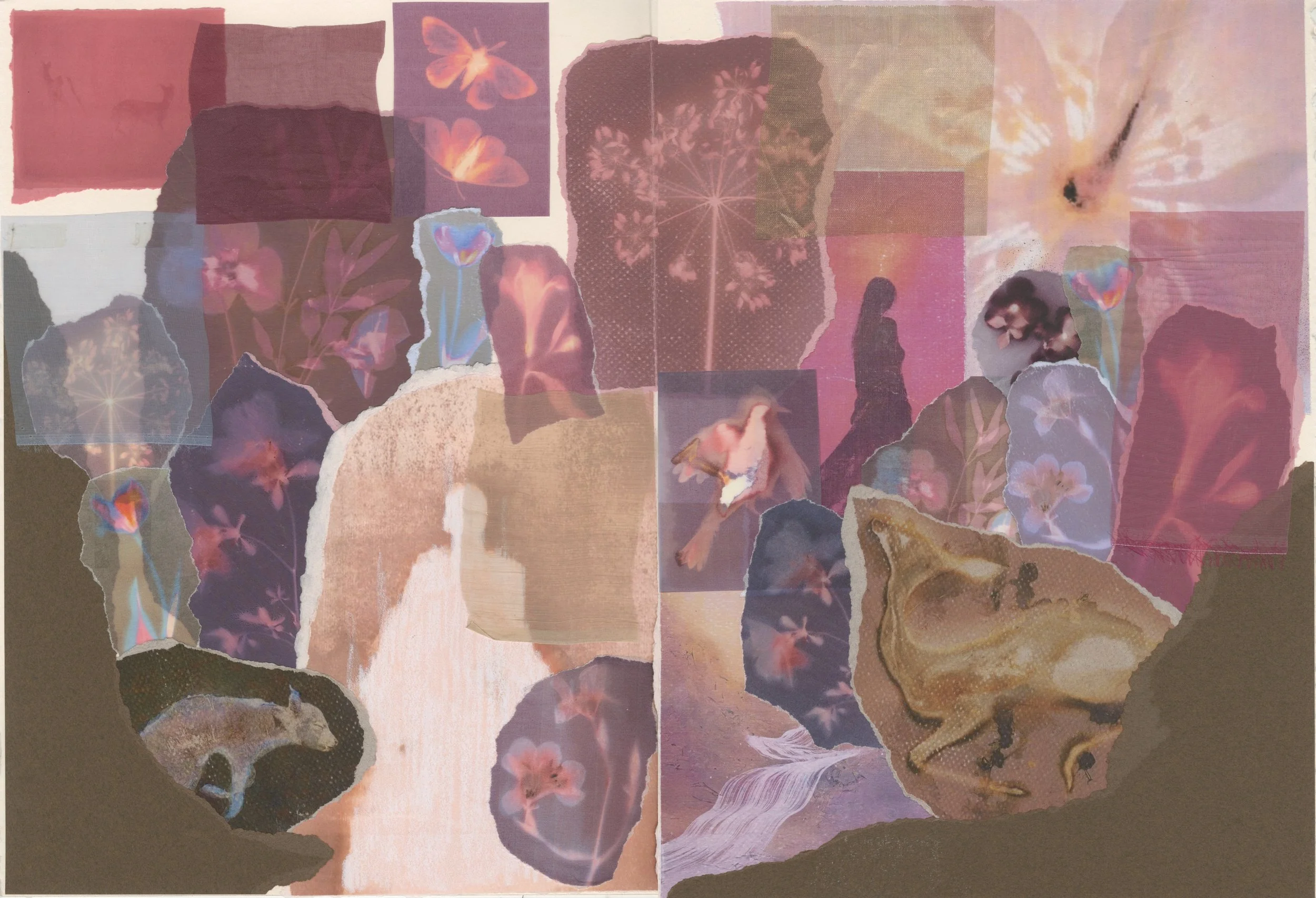 Moodboard