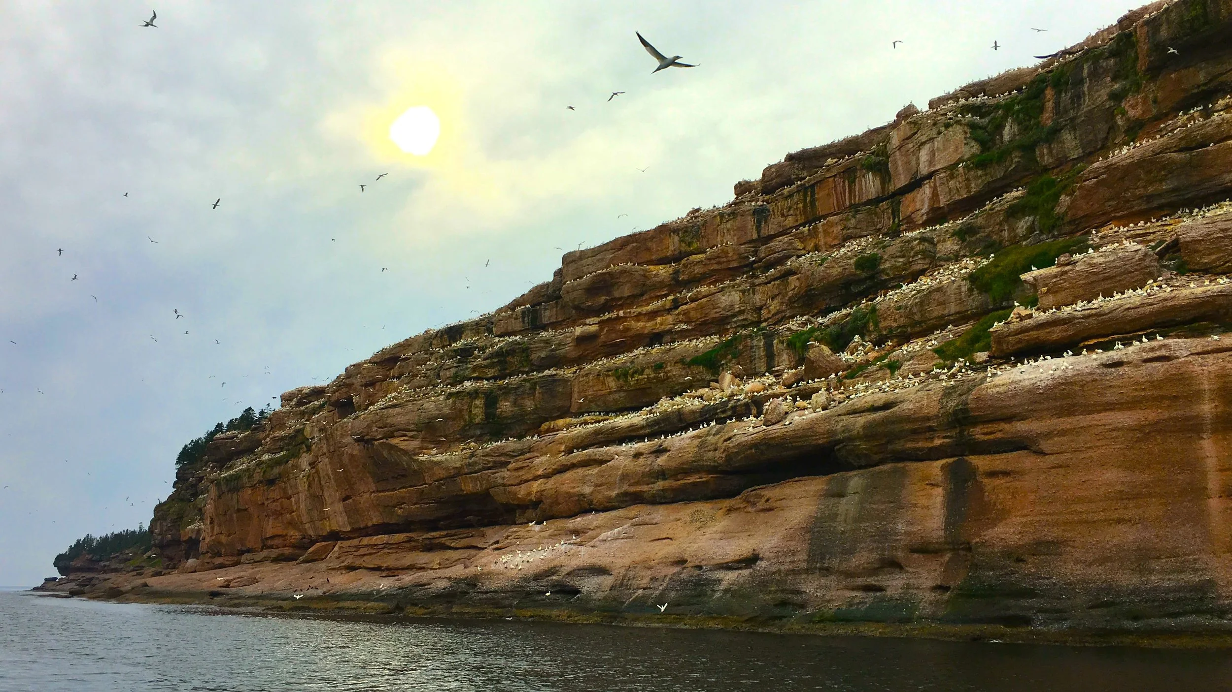 Risk Alert: The Marketing Rule