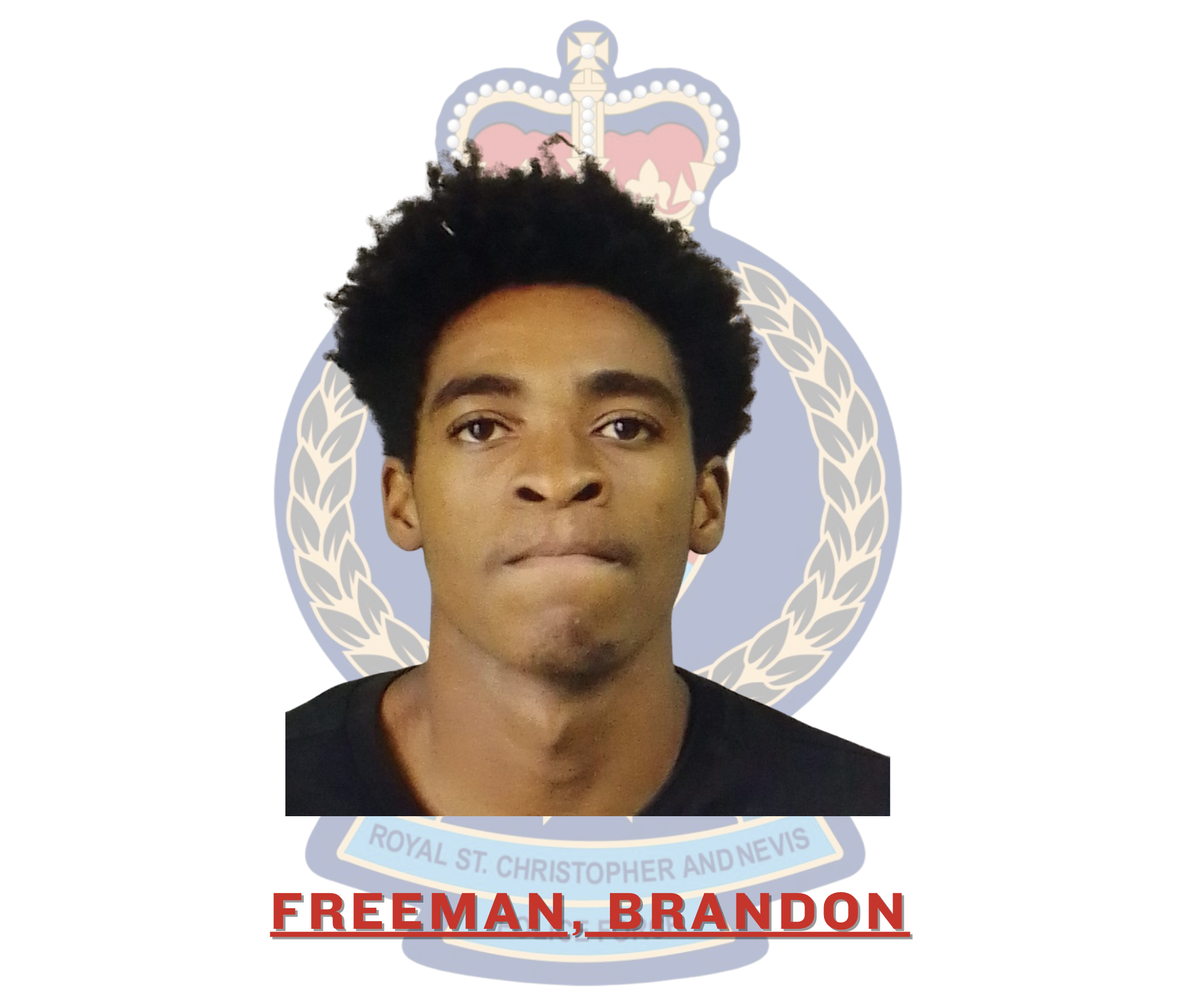 BRANDON FREEMAN CHARGED FOR HOUSE BREAKING AND LARCENY