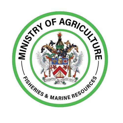 DEDICATED STAFF TO BE HONOURED AT AGRICULTURE OPEN DAY 2026