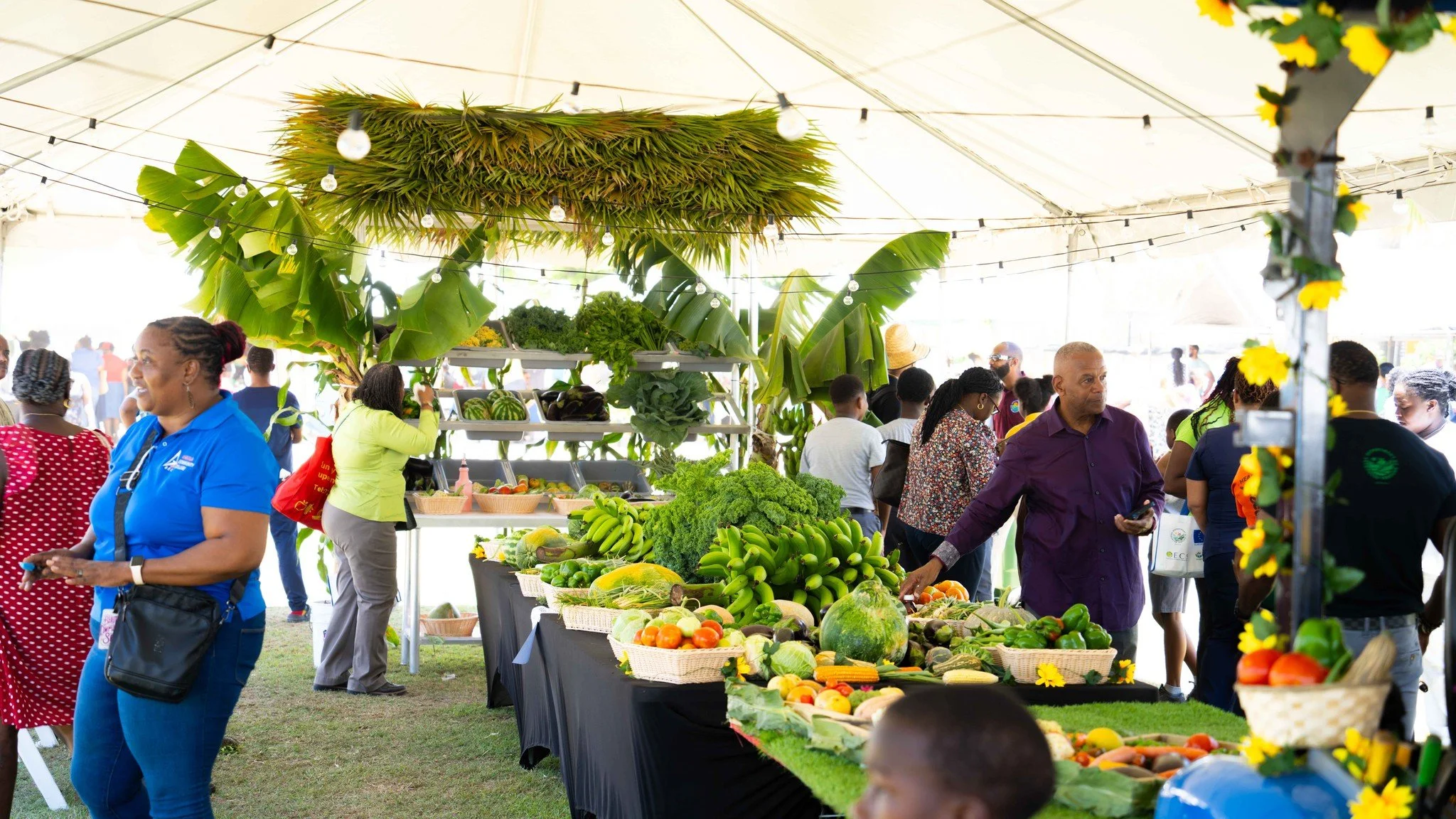 NEVIS MINISTER PRAISES ANGUILLA AGRI FEST 2026