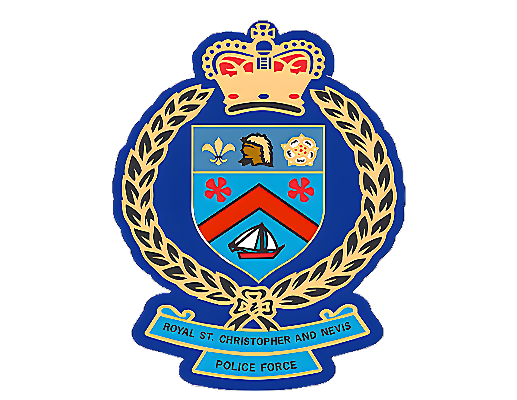 GUNS AND AMMO RECOVERED IN RSCNPF SEARCHES