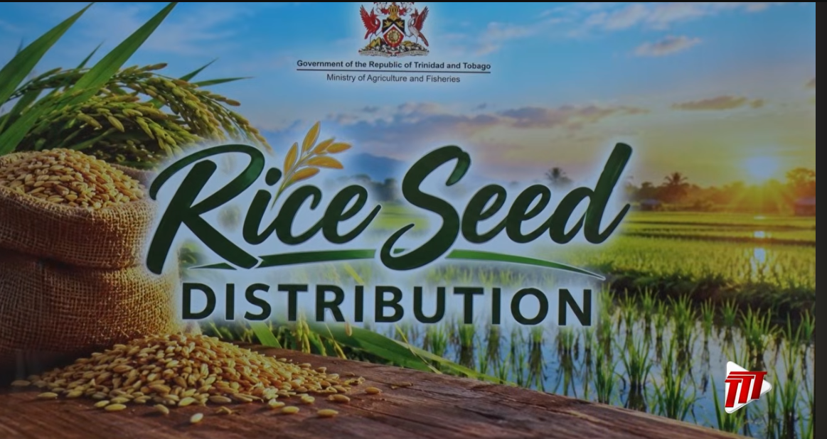 RATIRAM PUSHES LOCAL RICE TO REDUCE FOOD IMPORTS