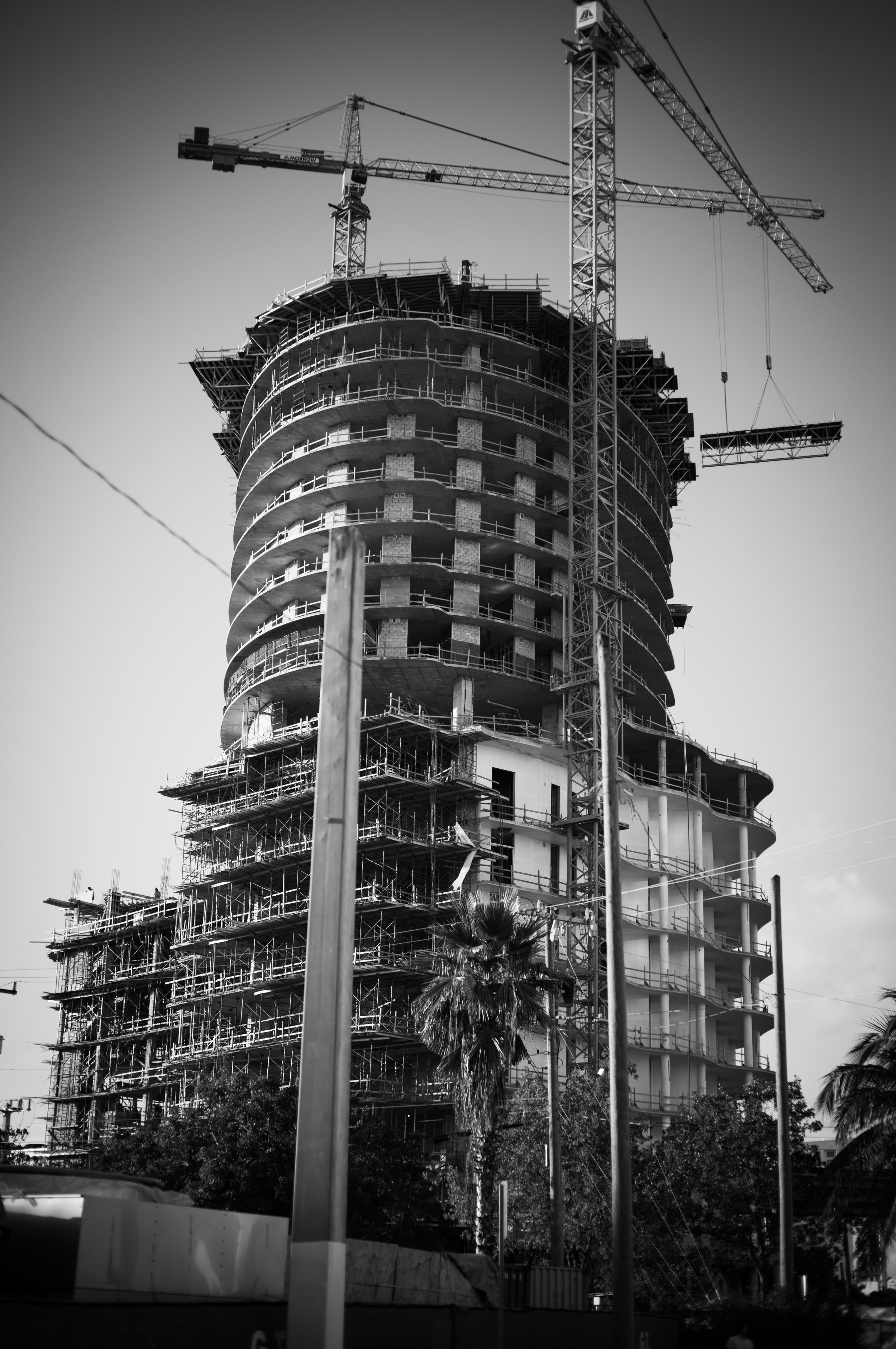 C1001717.jpg