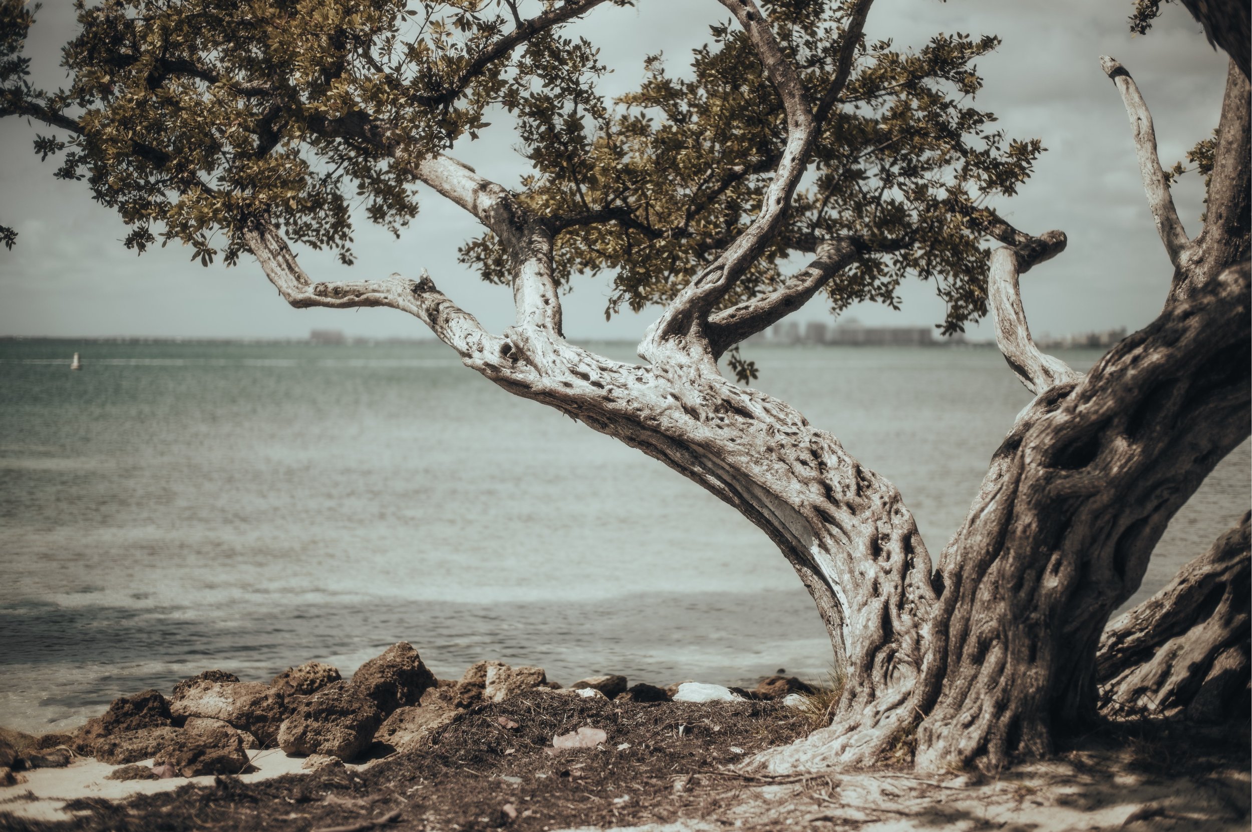 C1002970.jpg