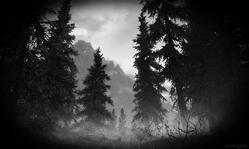 Howling Wilds Build Week