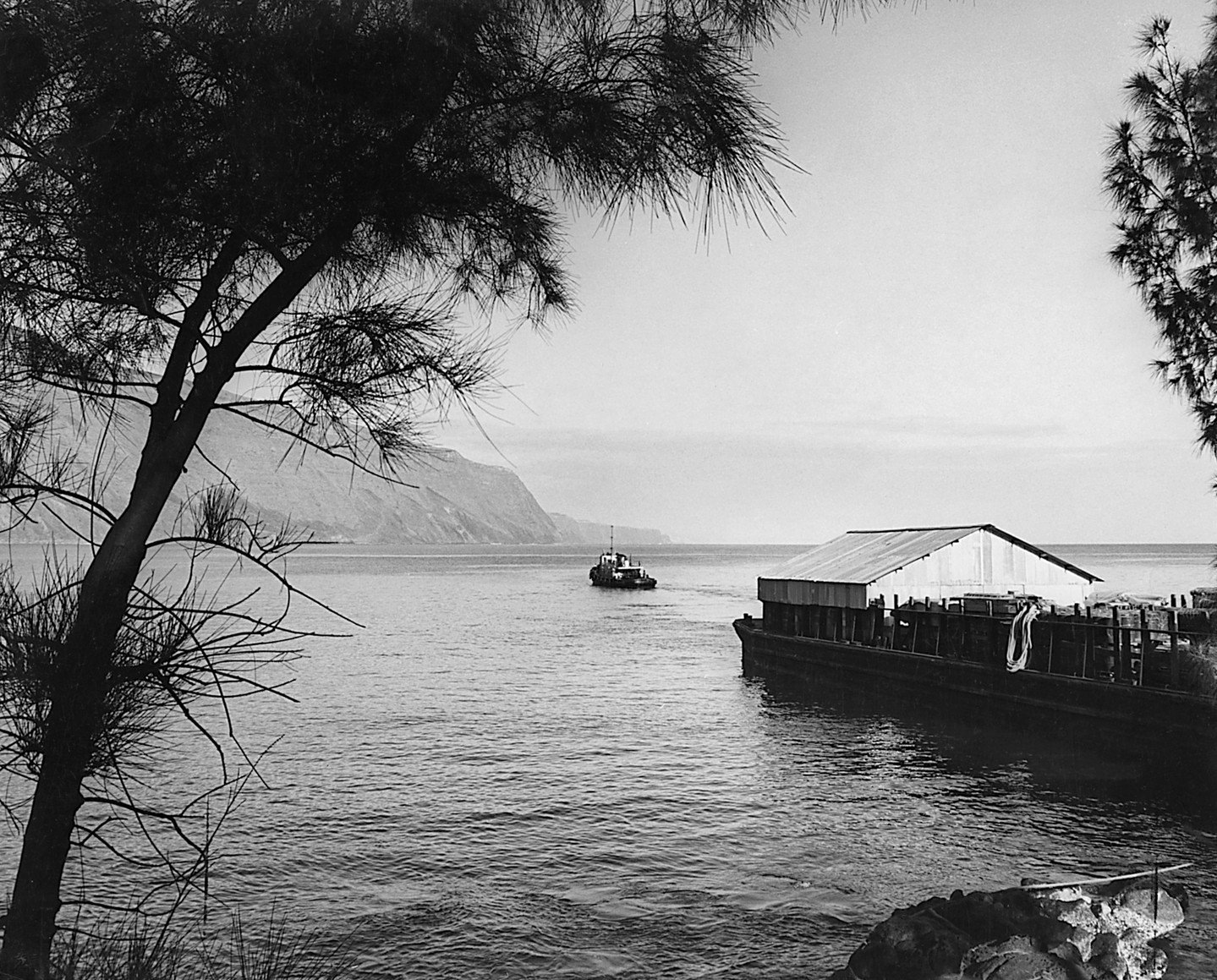 Who recognizes this historic view? Hint: Young Brothers is the only freight handling company that services this port. 🤔⁠
⁠
#supplychainhawaii #shiptoshelf #shiptoshelfhawaii