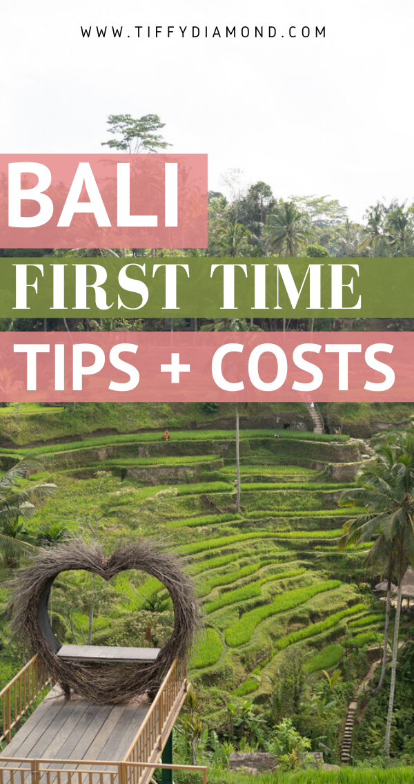 52f00-balifirsttimetipsandcost.png