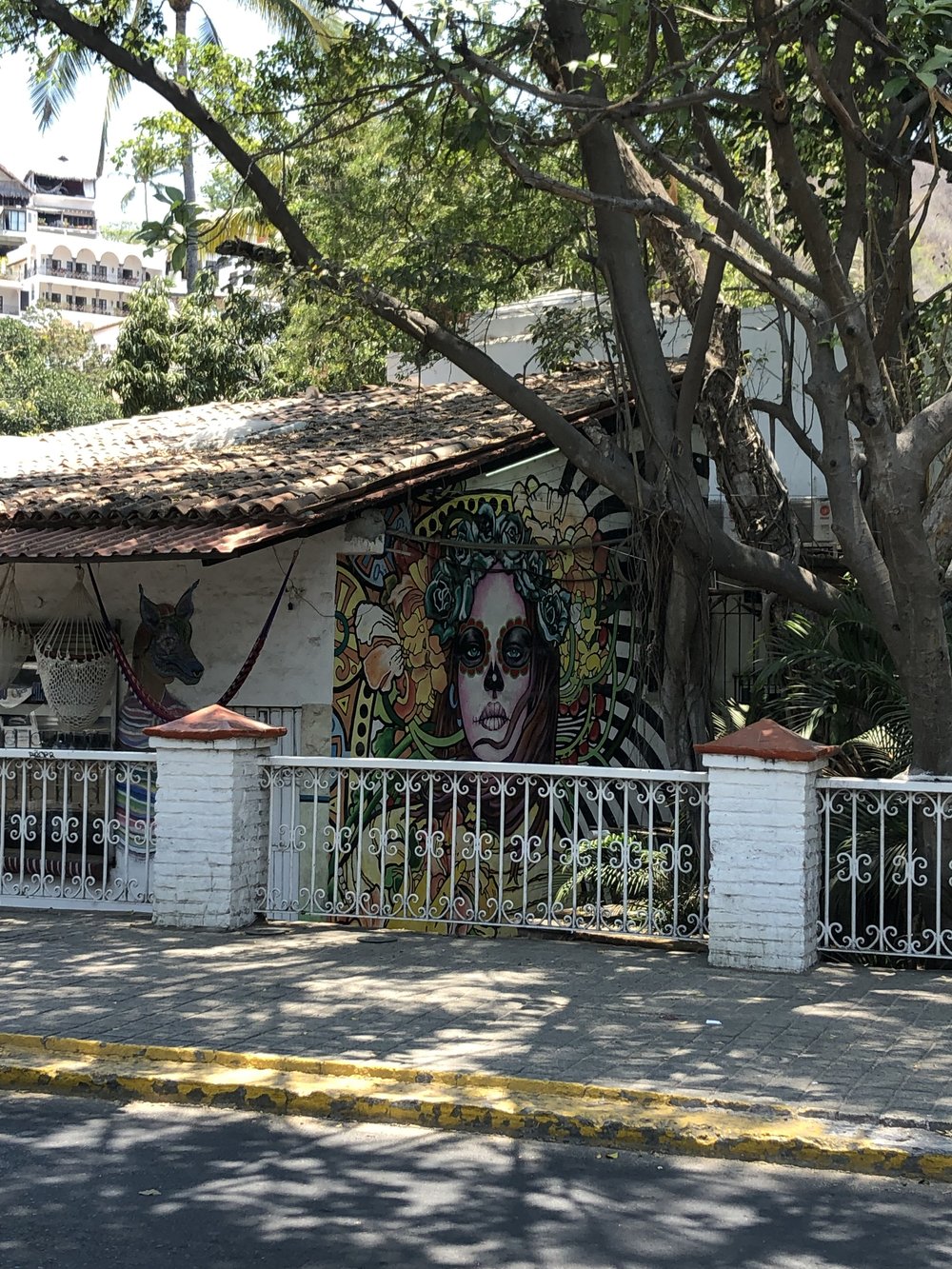 9316f-streetartnearthebridgepuertovallarta.jpeg