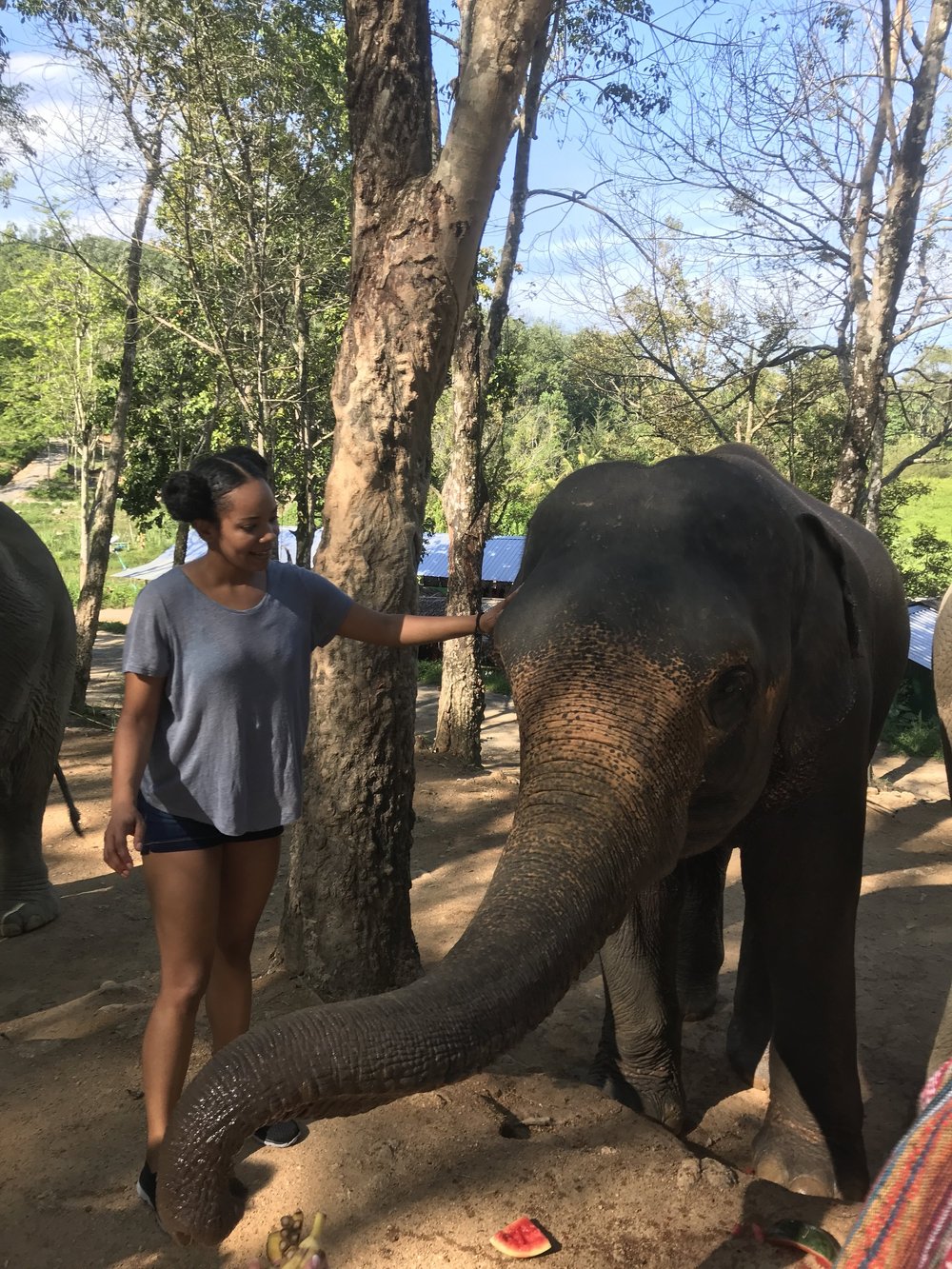 2740d-elephantsanctuaryphuketthailand5.jpg