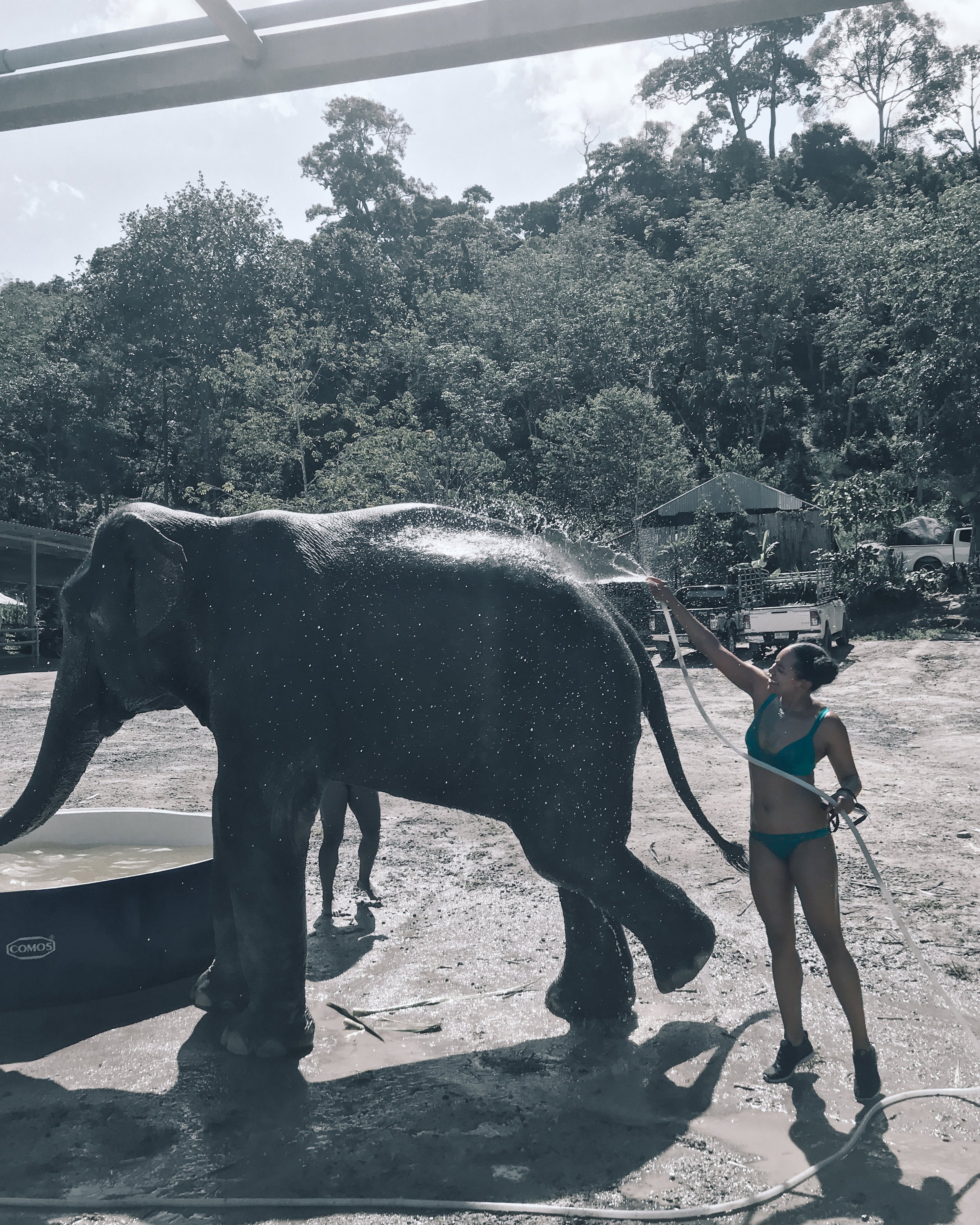 2cbbb-elephantsanctuarythailand.jpg