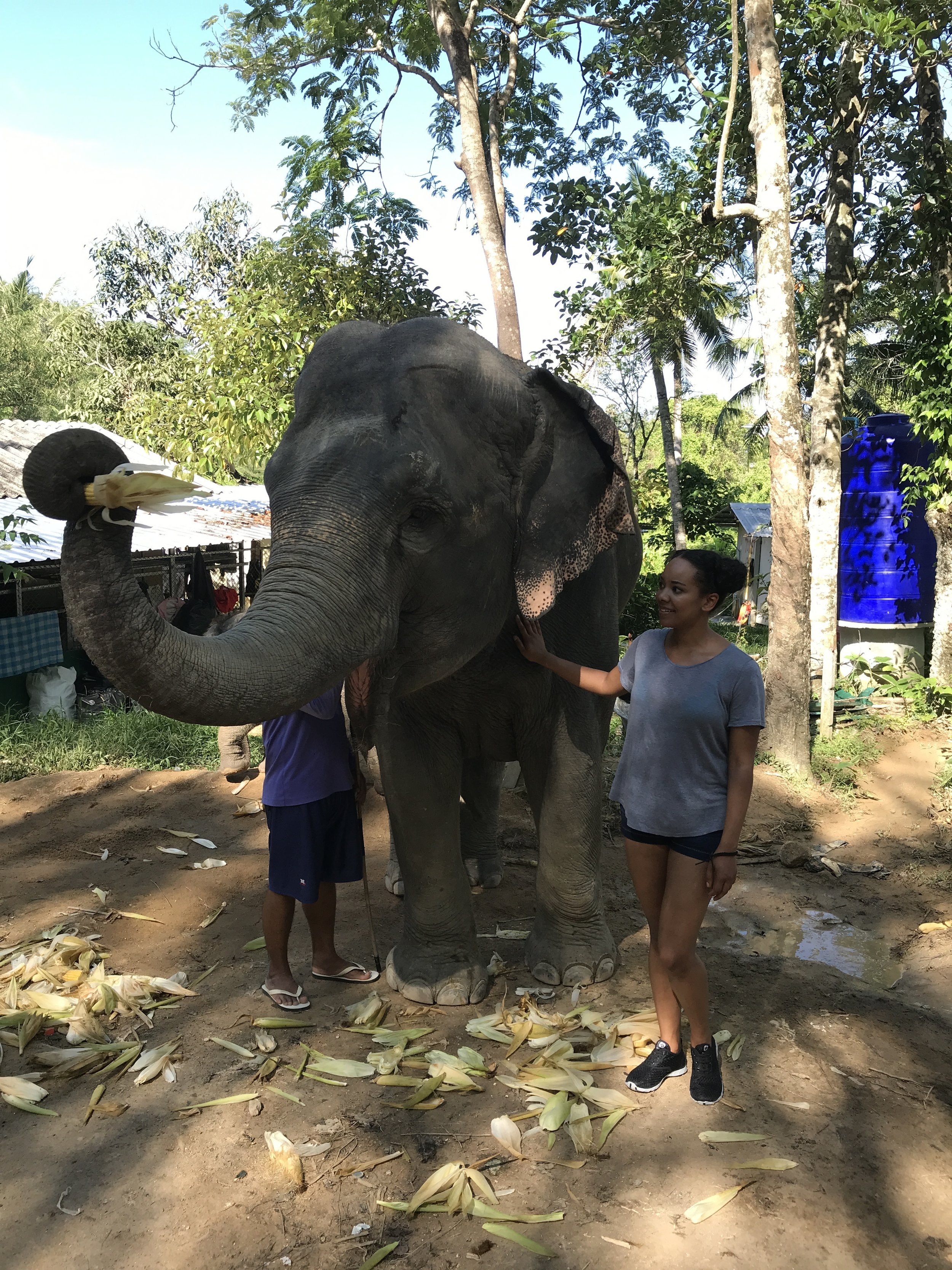 b942c-elephantsanctuaryphuketthailand6.jpg