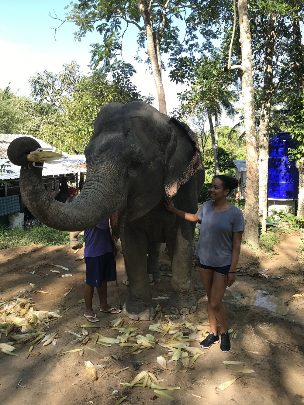 b942c-elephantsanctuaryphuketthailand6.jpg