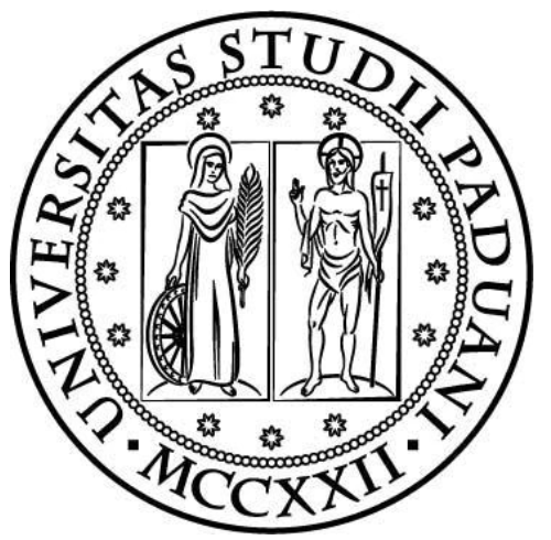 padova.png