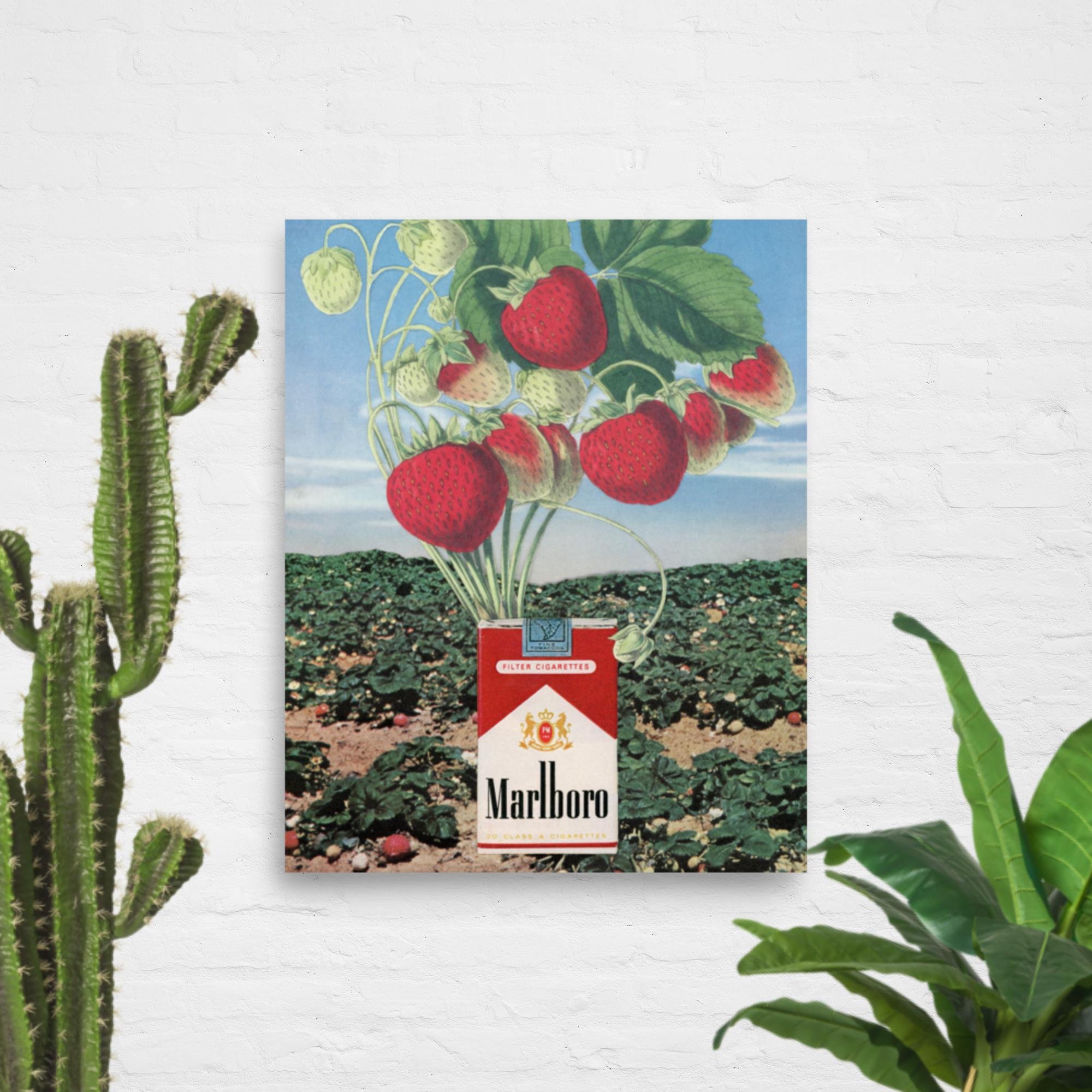 enhanced-matte-paper-poster-(in)-8x10-front-6514a53384f54.jpg